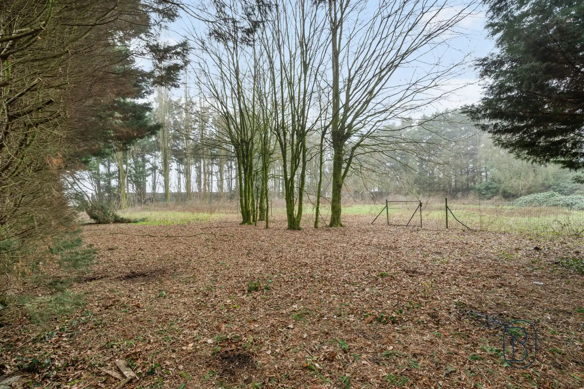 Charmante te renoveren woning, met mooie tuin. foto 4