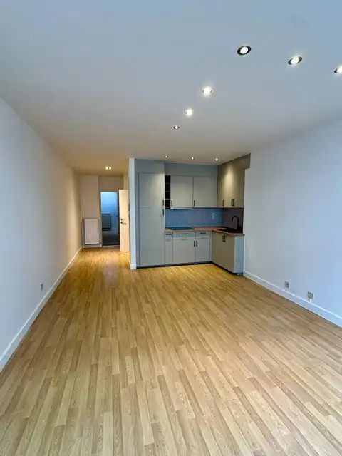 Gerenoveerd gelijkvloers appartement met 1 slaapkamer in een mooi herenhuis foto 2
