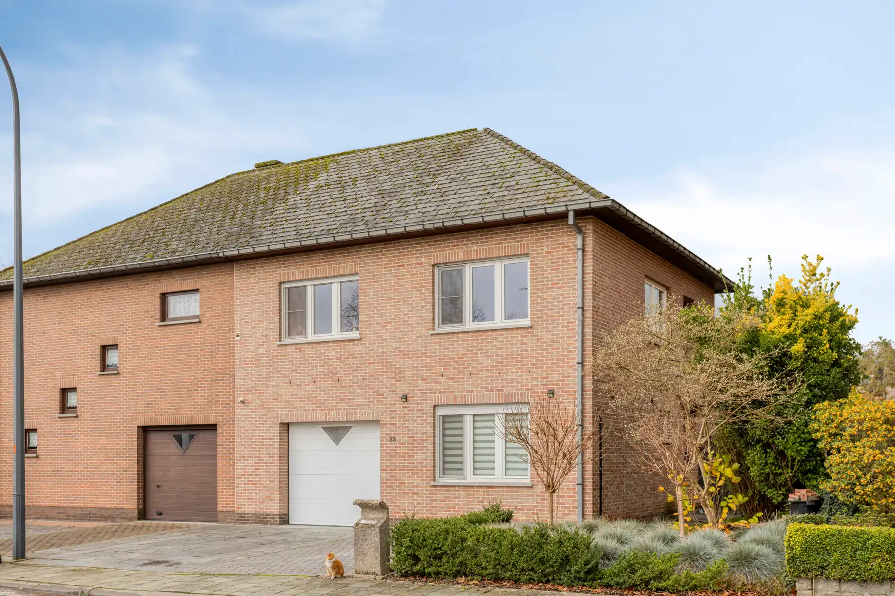 *** ONDER COMPROMIS *** foto {{pictureIndex}}