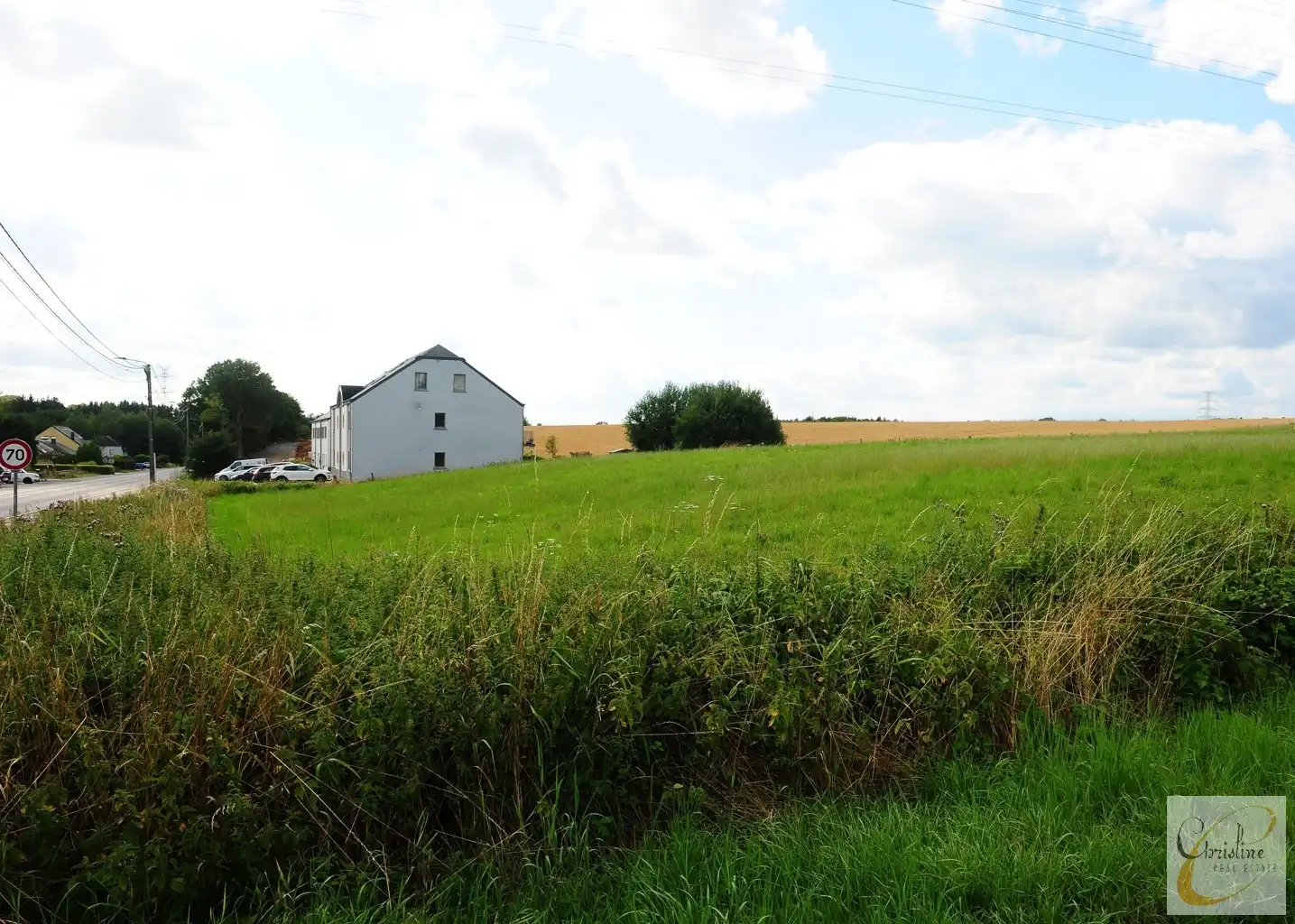 HEINSCH (ARLON) – PROJECTGROND CA. 3.388 M² MET RESIDENTIEEL ONTWIKKELINGSPOTENTIEEL foto 7