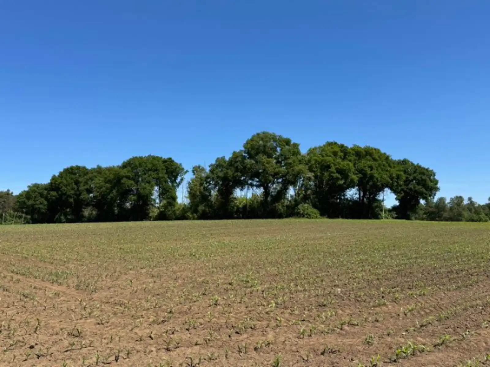 Grond te koop foto {{pictureIndex}}