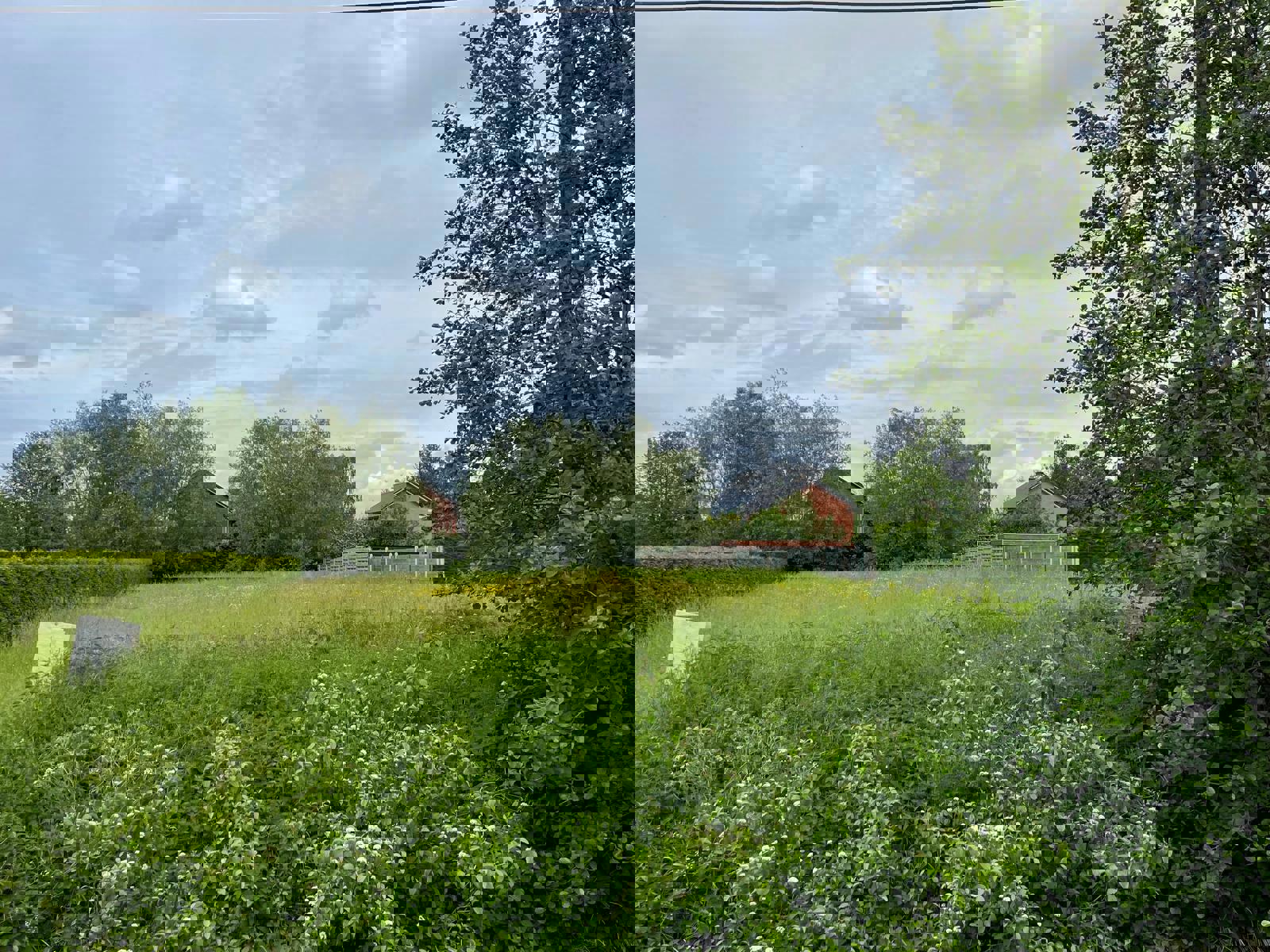 ()=>{if(producerUpdateValueVersion(node),producerAccessed(node),node.value===ERRORED)throw node.error;return node.value} Merendreesesteenweg - 9031 Drongen
