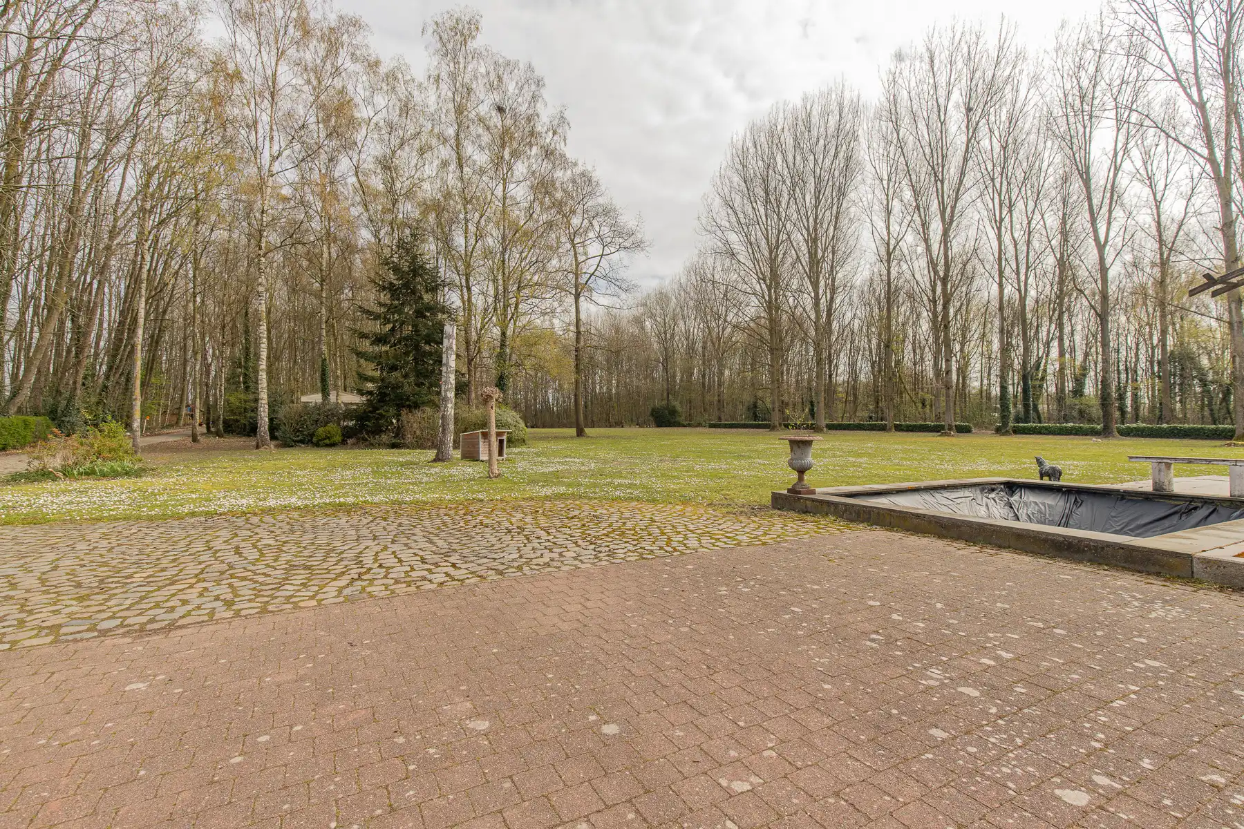 Woning op unieke ligging van 5 hectare foto 5
