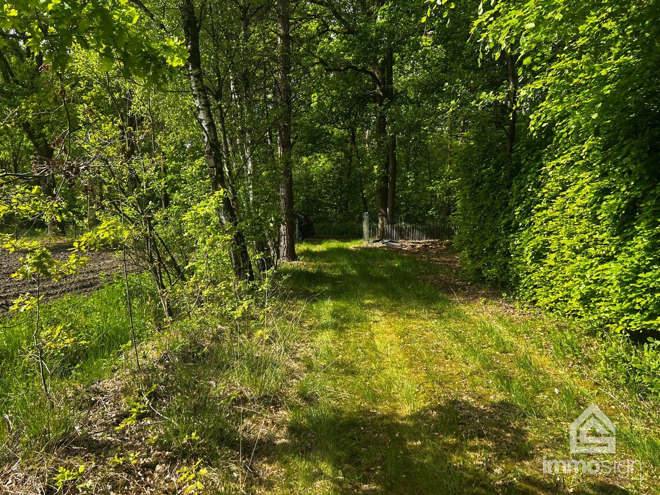Uniek stukje natuurgebied van 1.470 m² gelegen te Hamont-Achel! foto 18