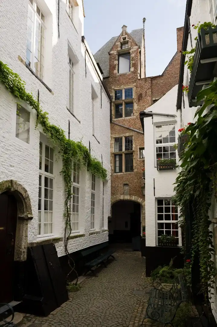 Huis te huur foto 23