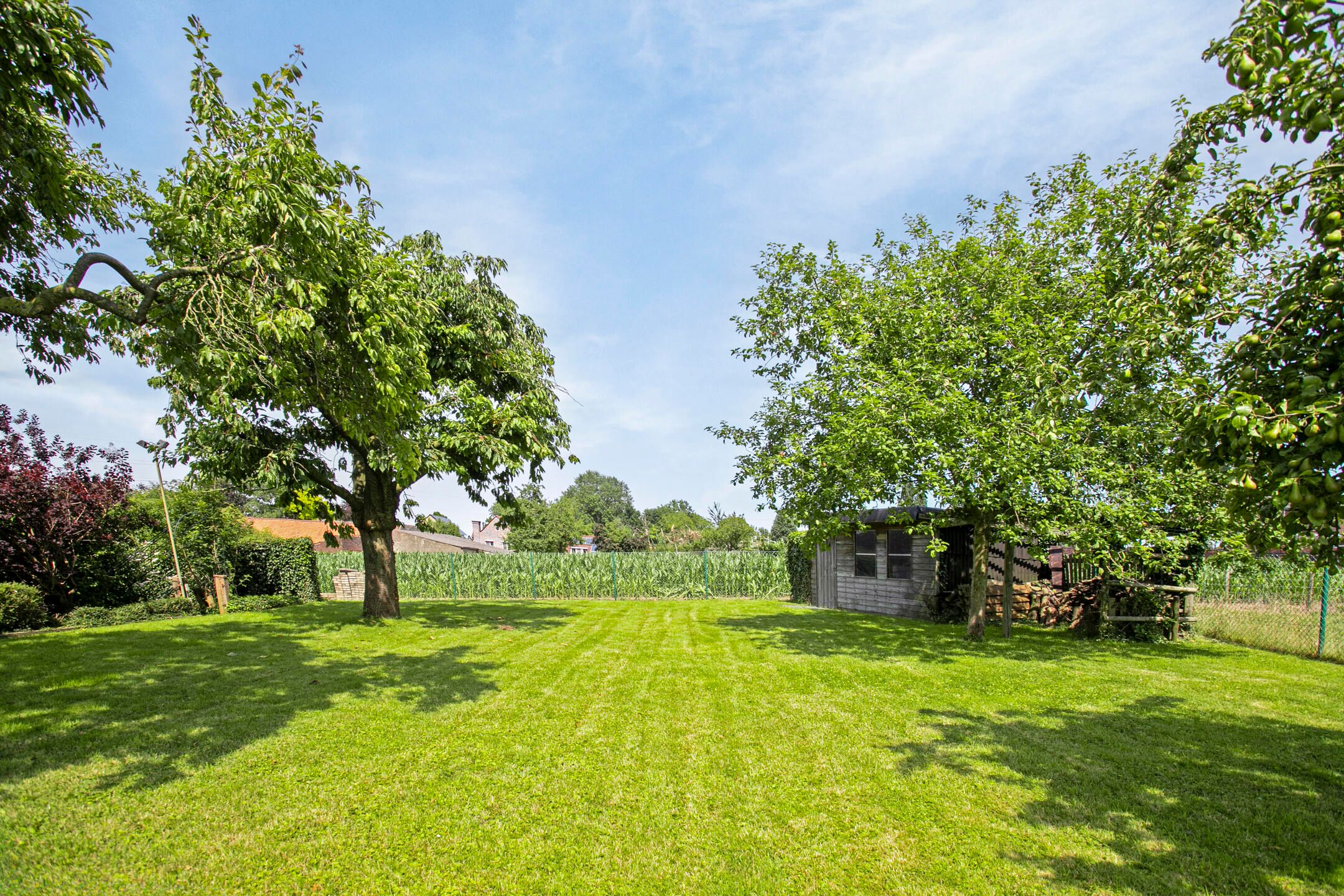 Uniek wonen in de dorpskern foto 7