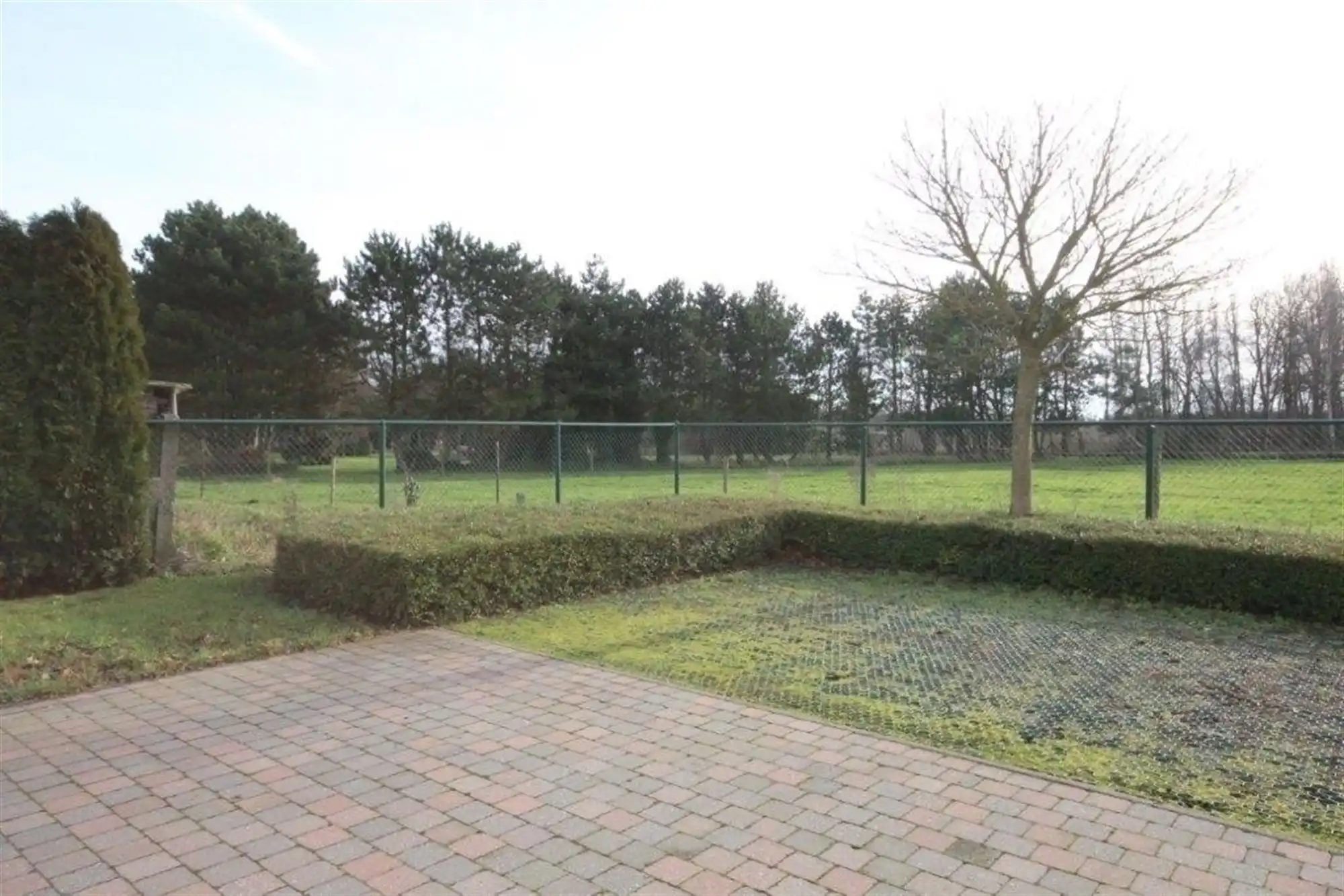 Verrassend ruim gelijkvloers appartement te Putte foto 12