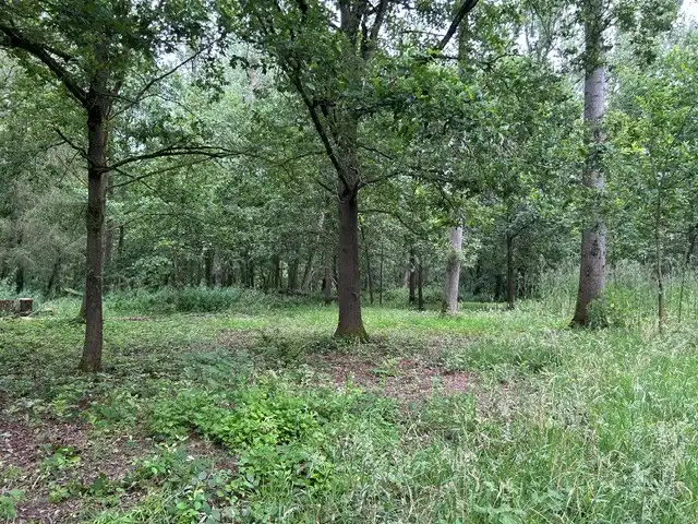 Bosgrond te koop gelegen De Potters te Herselt foto 4