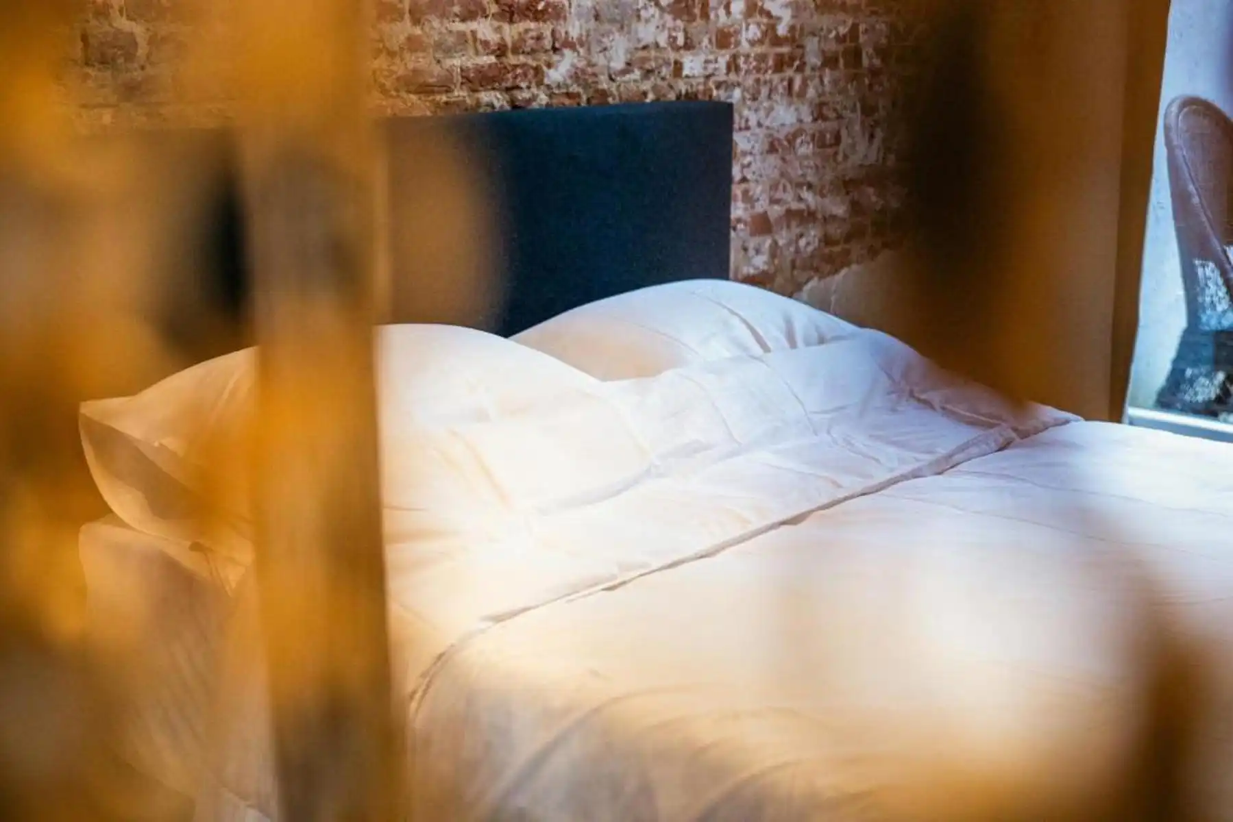  2 SLK-duplexappartement met uitzicht op de Antwerpse Zoo!  foto 8