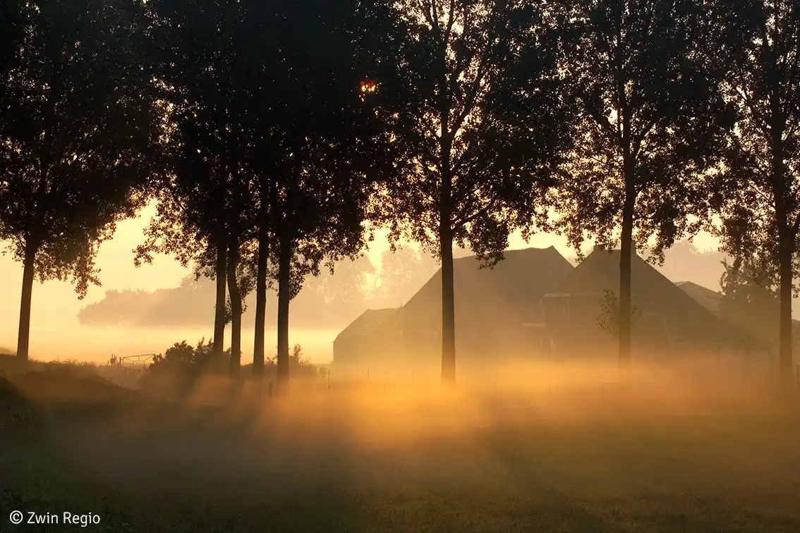 Bouwgrond met ontwerp: Moderne schuur met bijgebouw en zwembad in Terhofstede  foto 5