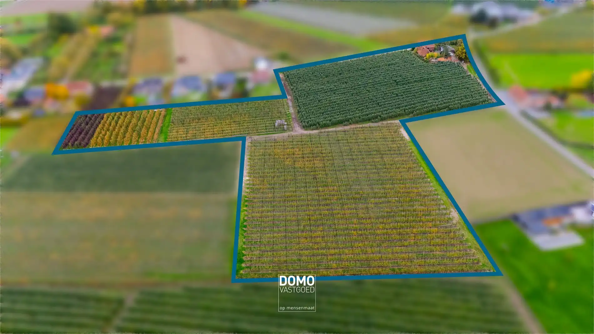 PRACHTIG GELEGEN HOEVE TE KOOP OP EEN PERCEEL VAN 3HA 55A 31CA TE HERK-DE-STAD  foto 2