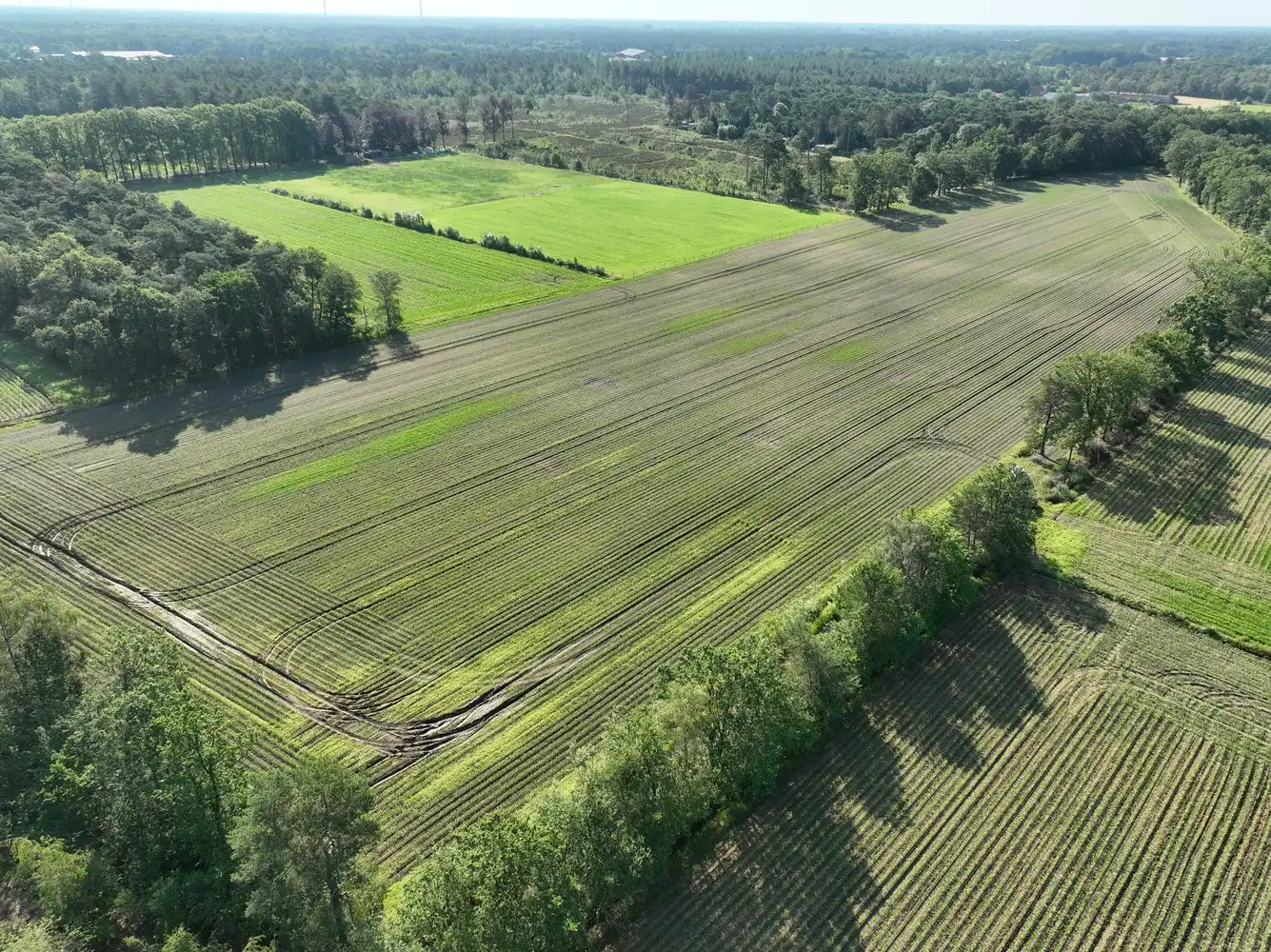 Boerderij te koop Epelaar zn - 2340 Beerse