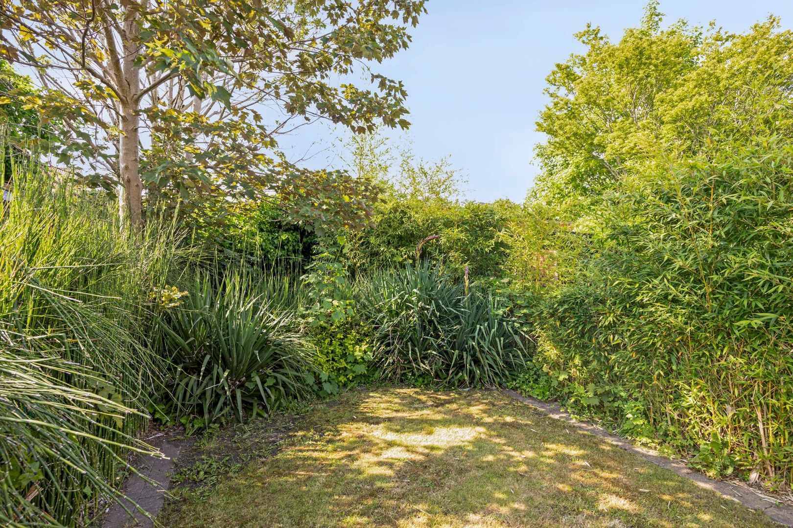 Op te knappen woning met oprit en tuin nabij de Gentbrugse Meersen foto 10