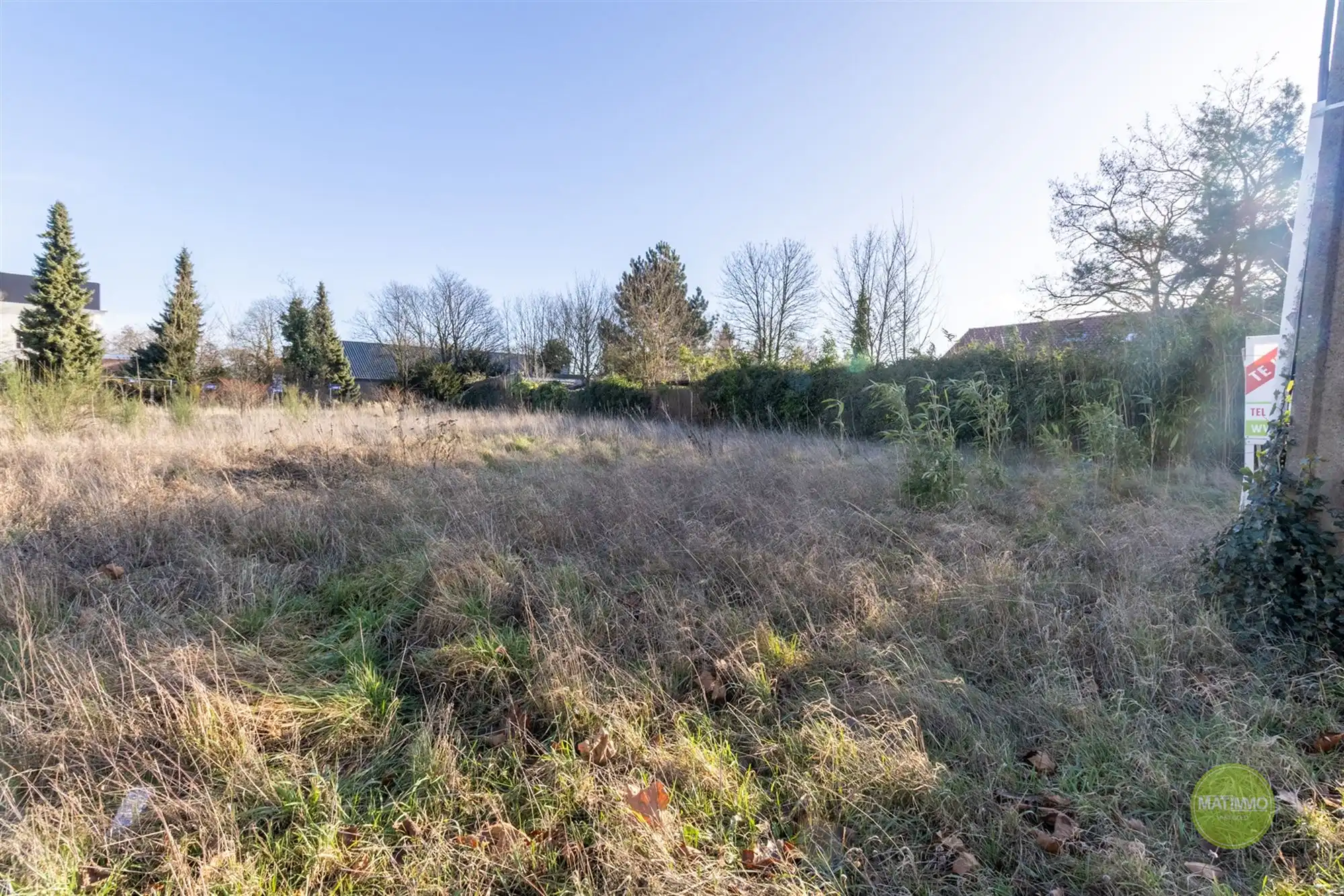 Bouwgrond voor open bebouwing in Balen-Wezel foto 5