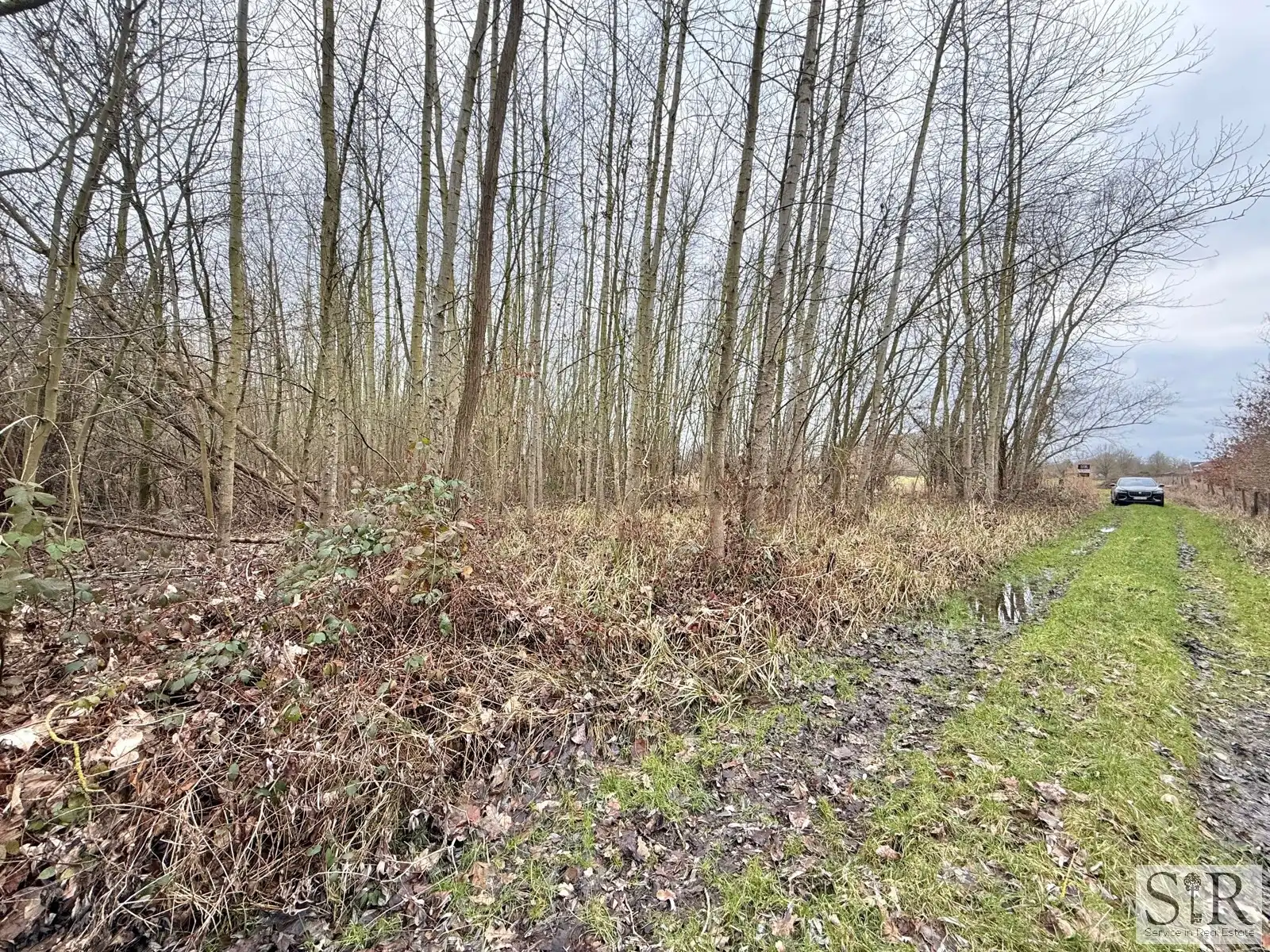 Grond te koop foto 3