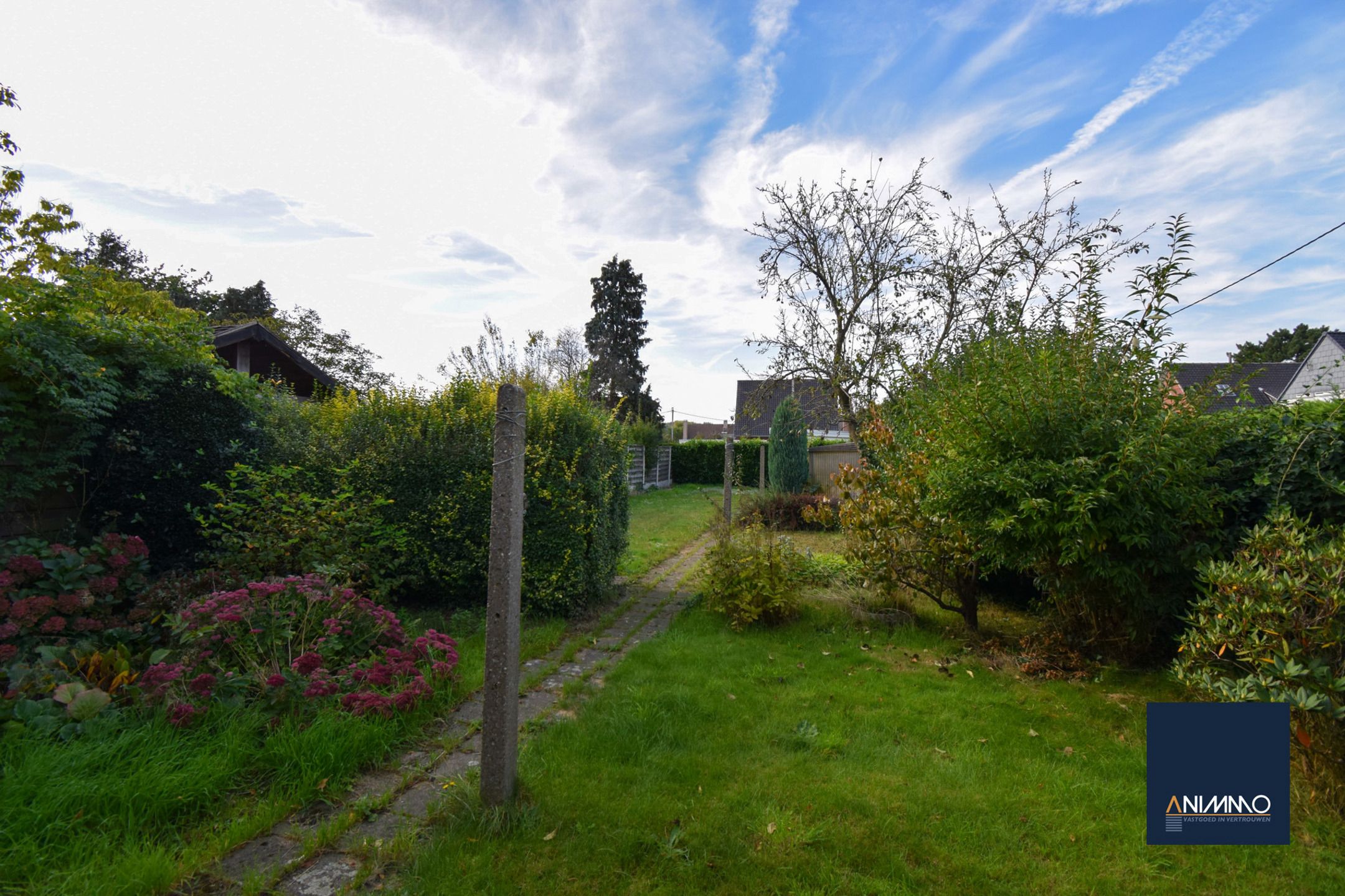 Huis te koop foto 14