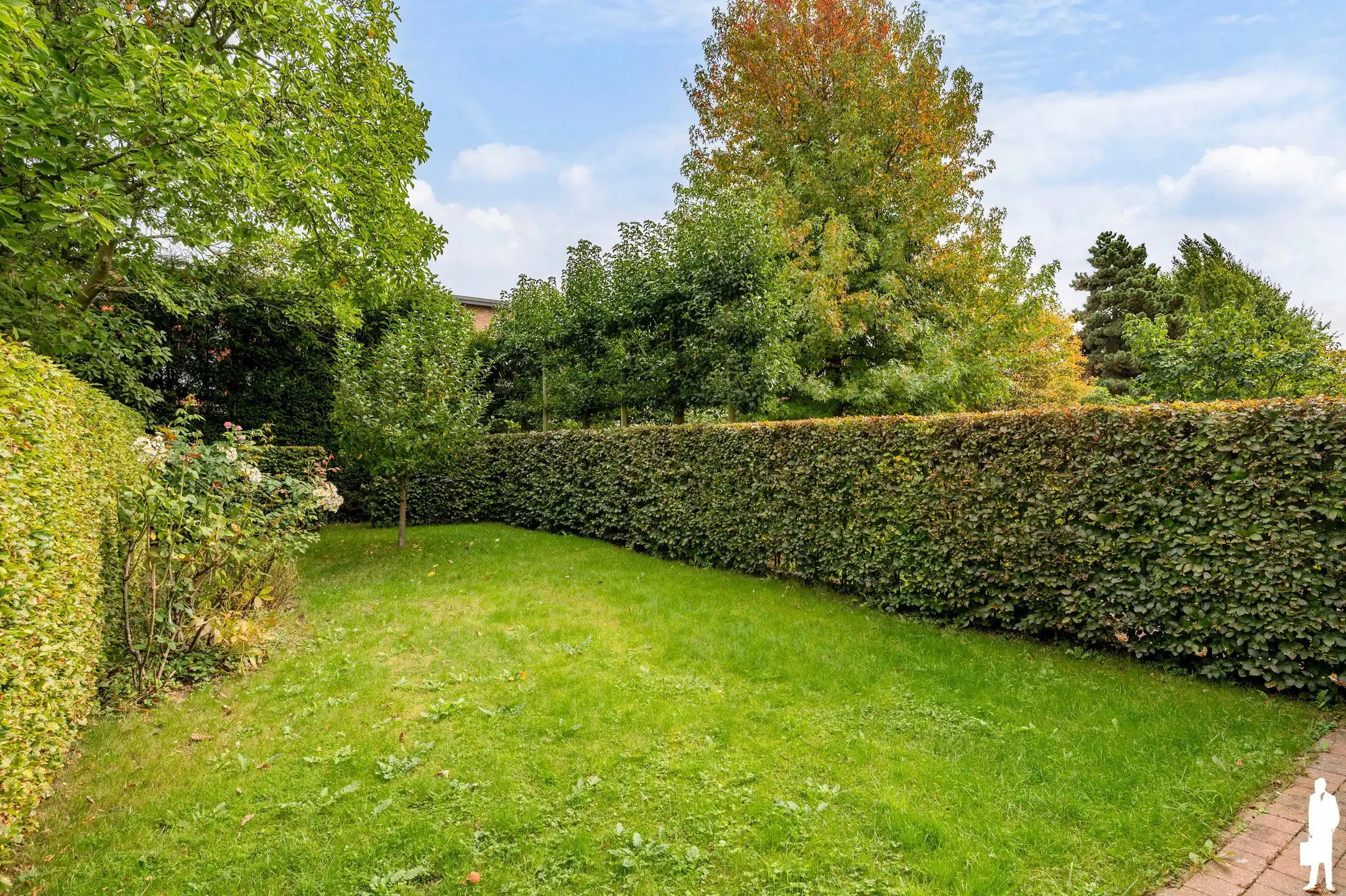 Ruime en energiezuinige bel-etagewoning met grote tuin.&nbsp; foto 2