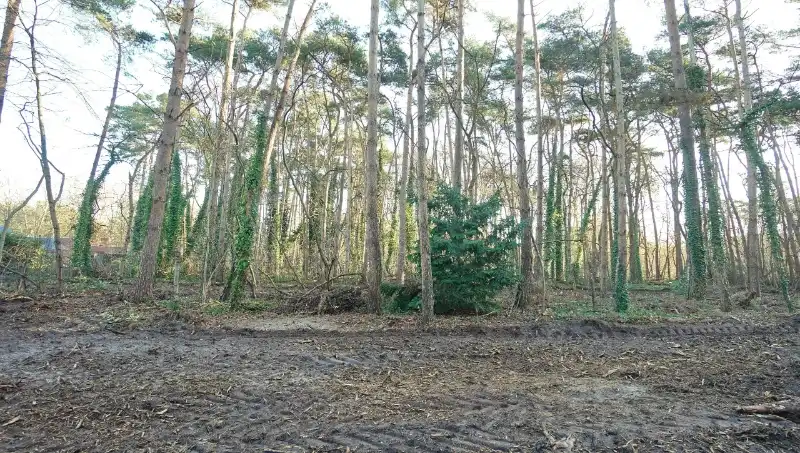 Residentieel gelegen bouwgrond van 31a10ca voor open bebouwing met private toegangsweg nabij golf- en meerdomein foto 4