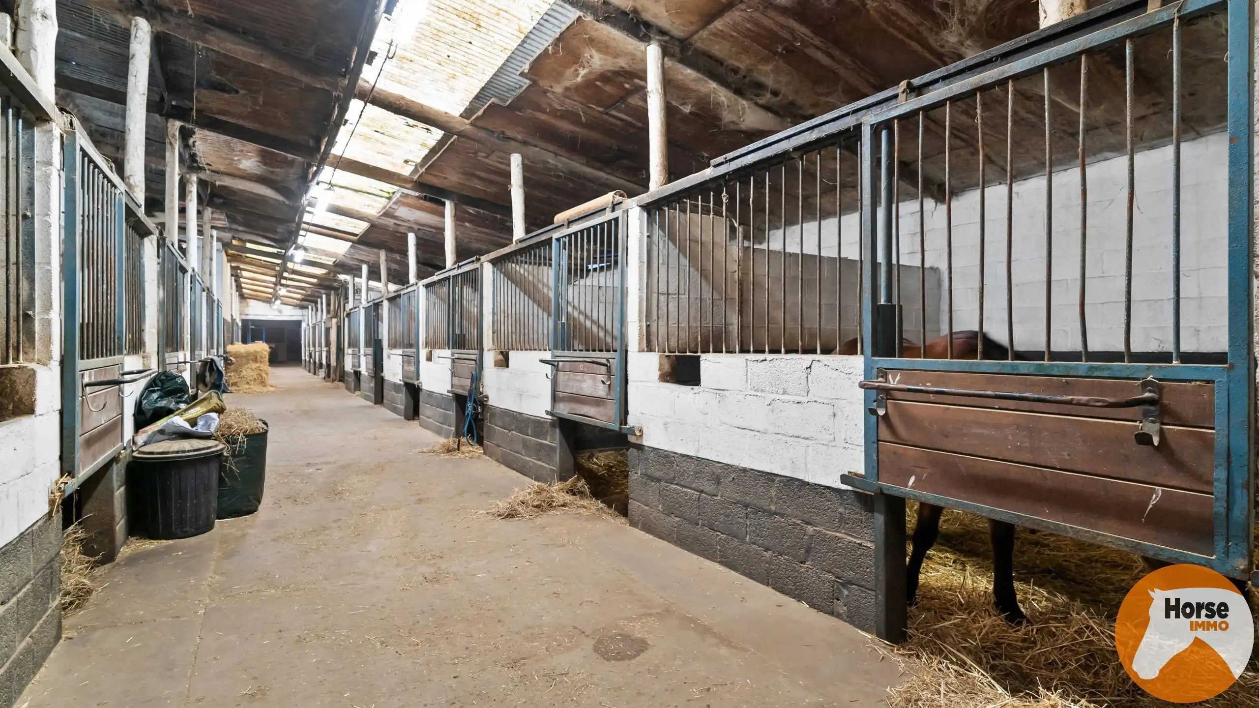 HASSELT (Kortessem) - Manege met veel potentieel! foto 6