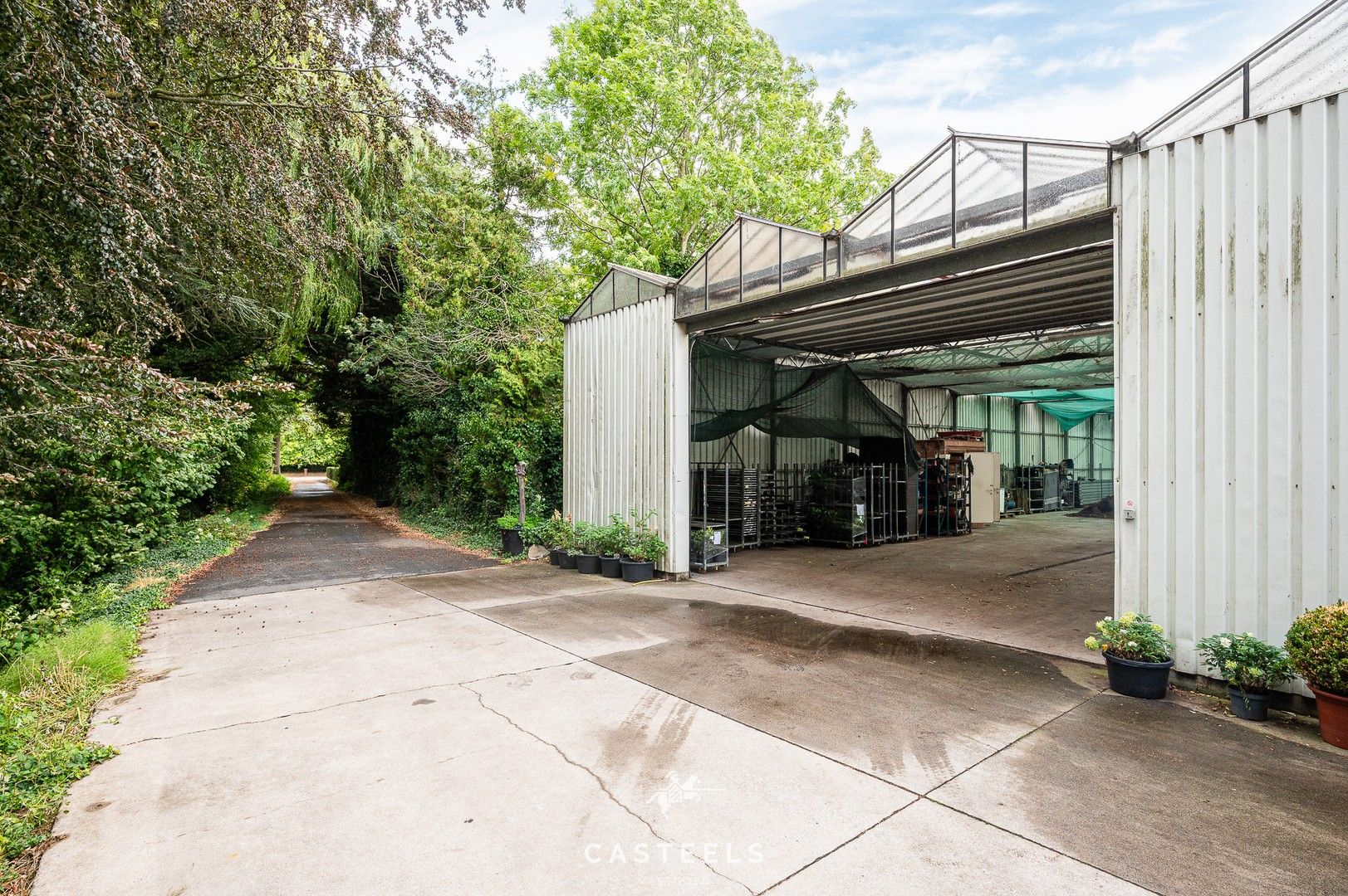 Uitzonderlijke tuinbouwsite in hartje Lochristi - 2,5 hectare met tal van mogelijkheden foto 3