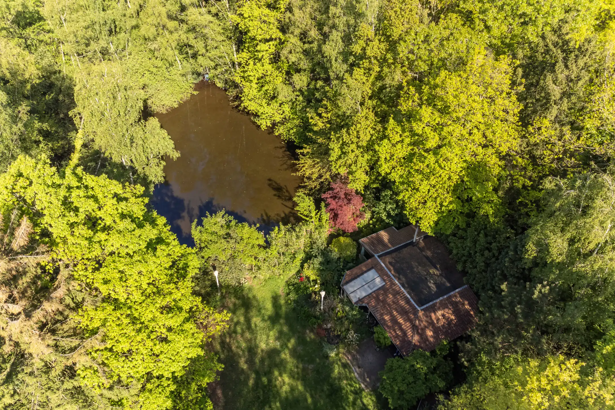 Gezellige, op te frissen, vakantiewoning nabij het kanaal Dessel-Schoten. foto 39