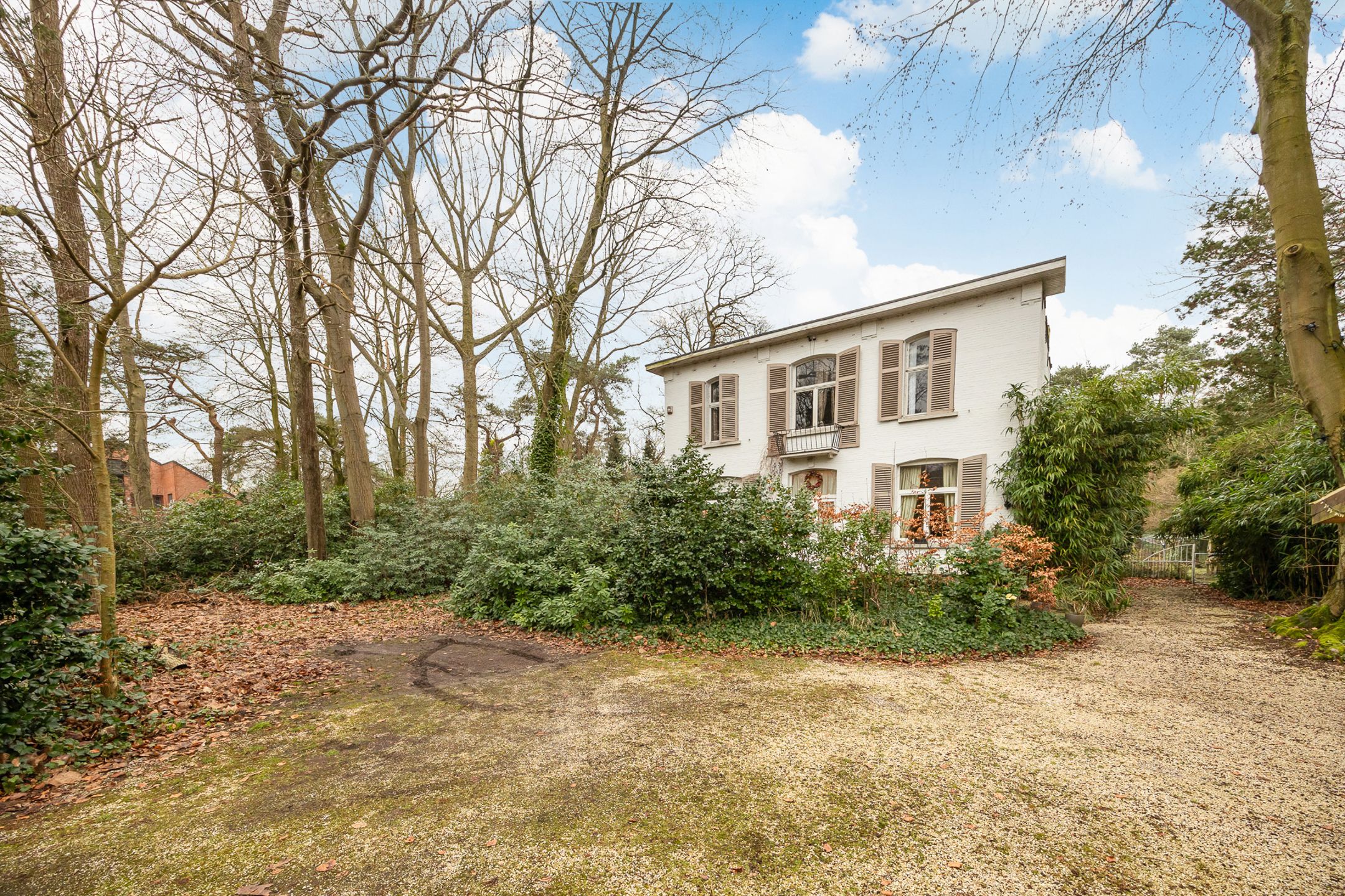 Mooi renovatieproject op terrein van 8204 m2 in Koningshof foto 12