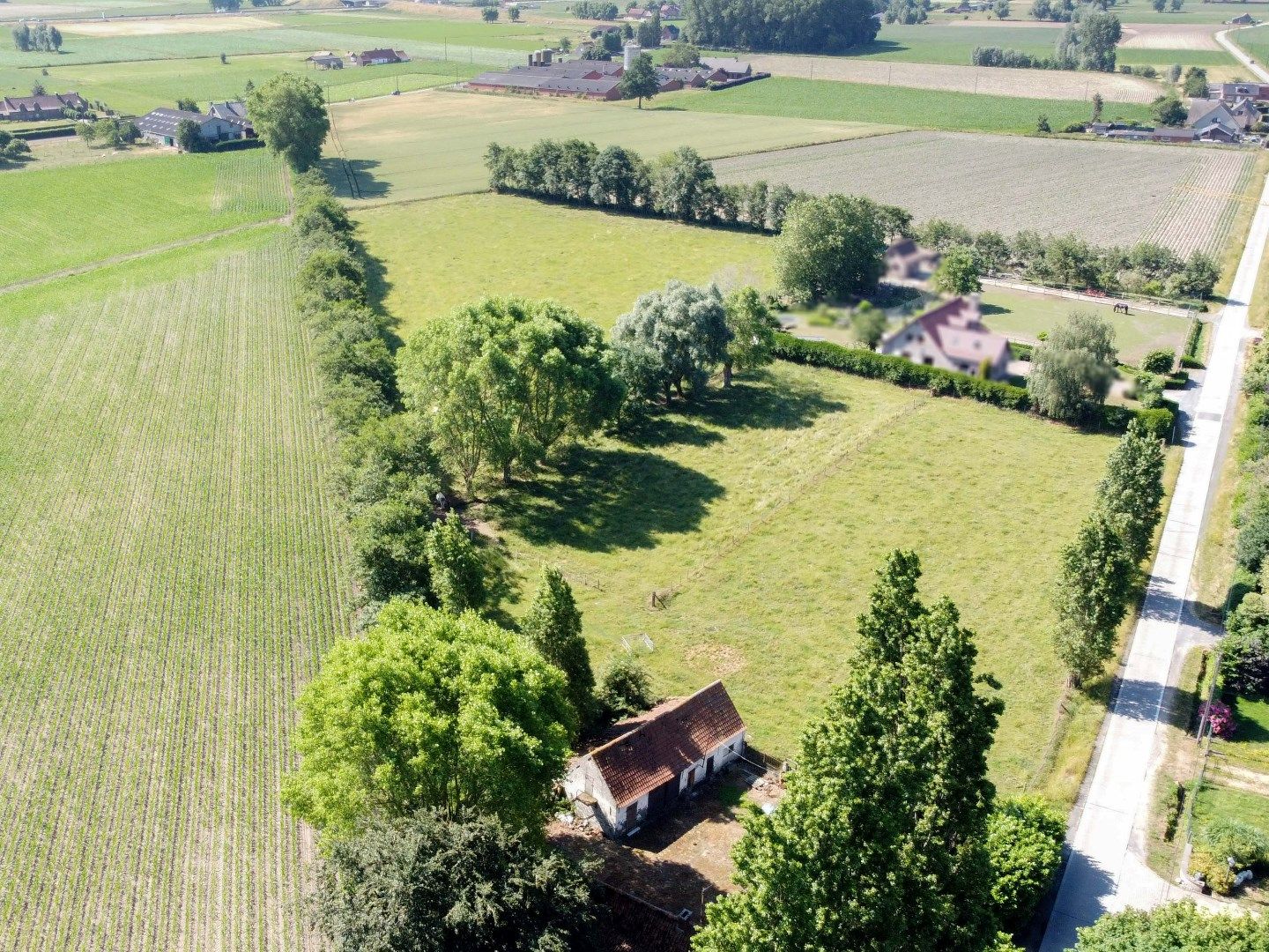 Te renoveren landelijke hoeve op prachtig perceel grond van ca. 2 hectare foto 4