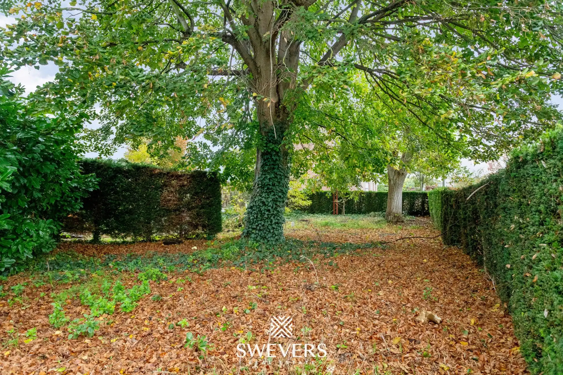 Zeer solide woning met renovatiepotentieel op 10a 18ca  foto 24