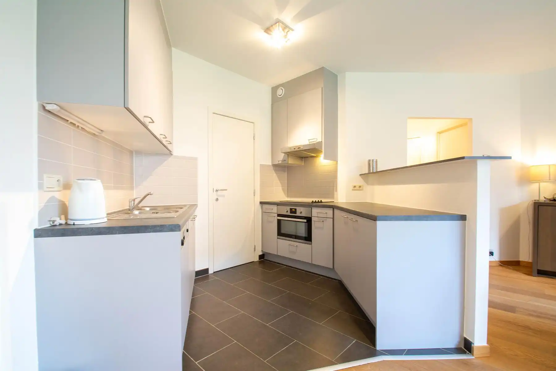 LICHTRIJK - Prachtig gemeubeld appartement met TUIN - 1 slpk foto 5