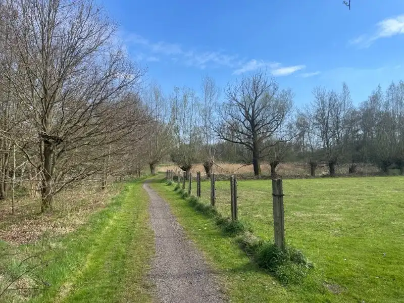 Huis te koop foto 18