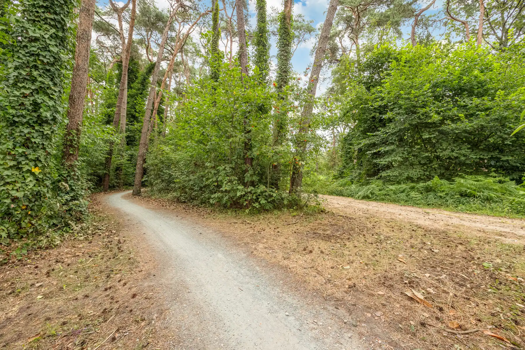 Rustig gelegen te renoveren gelijkvloerse villa op 2265 m² foto 10