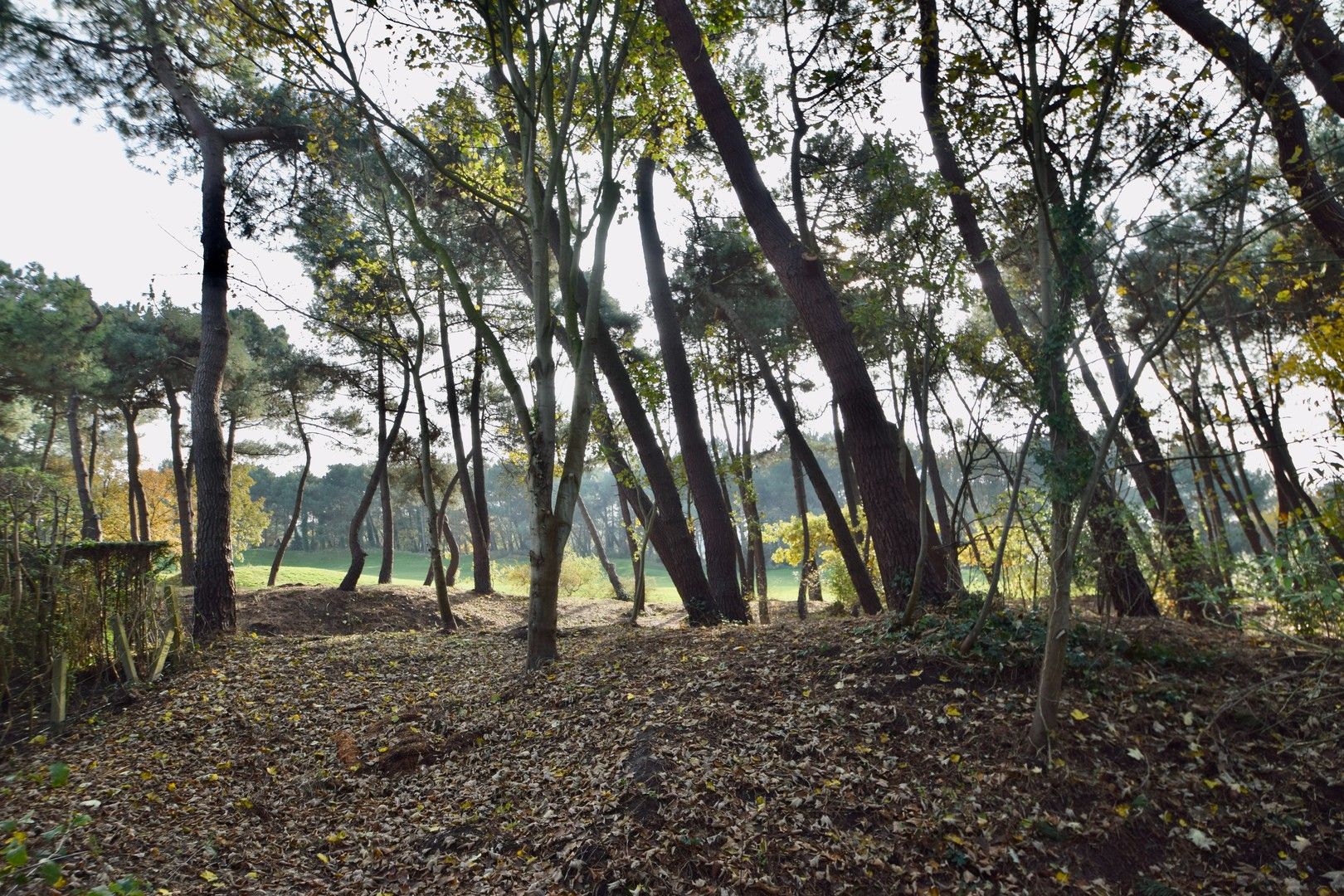 Zeldzame eigendom met prachtig zicht naar de Royal Zoute Golf, aan de hole 15. foto 9