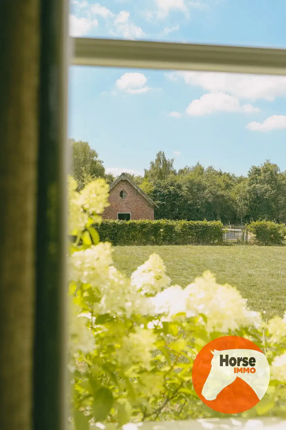 AXEL - Hoeve op een goede locatie met paardenfaciliteiten foto 19