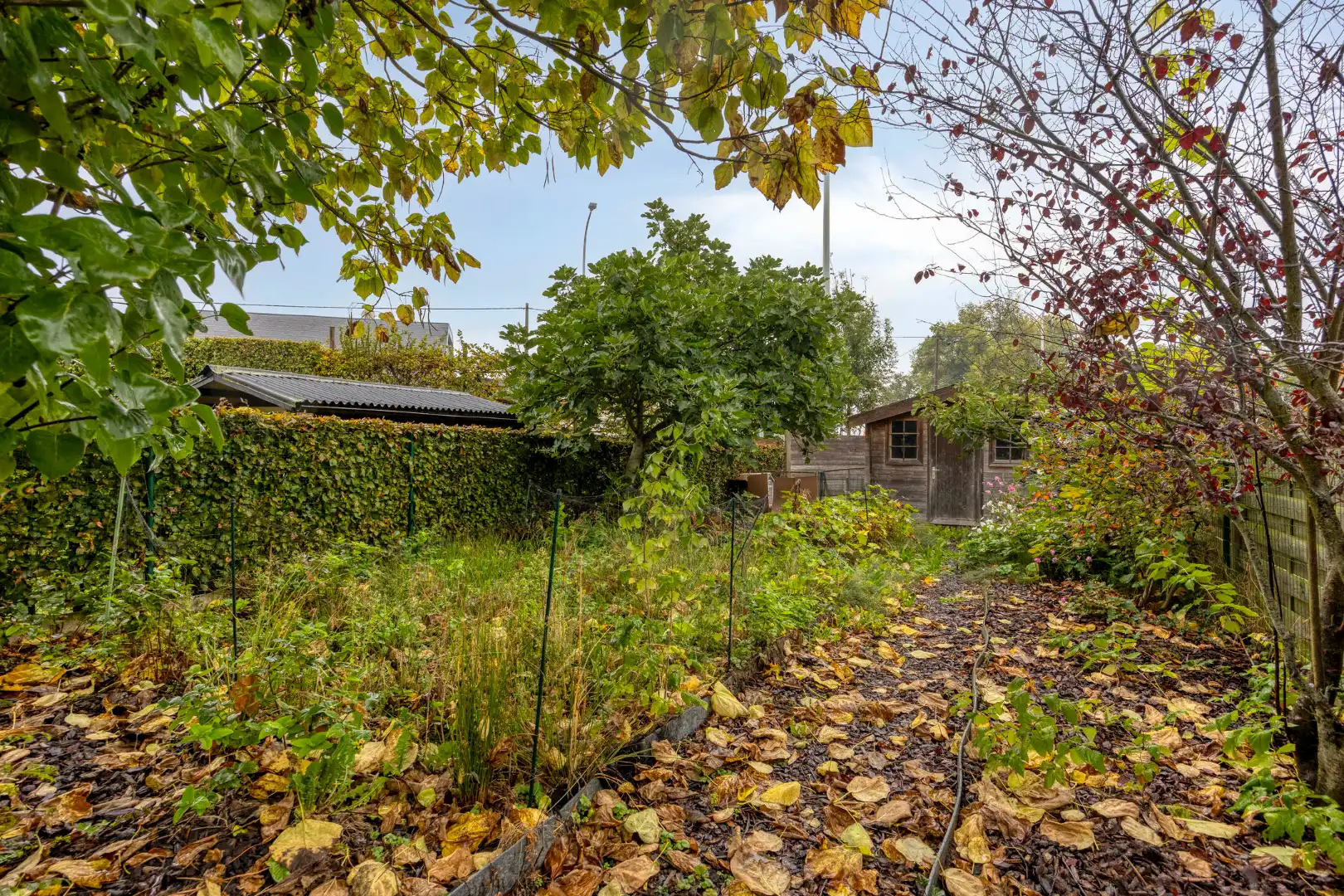 Instapklare woning met 3 slaapkamers te Schepdaal foto 20