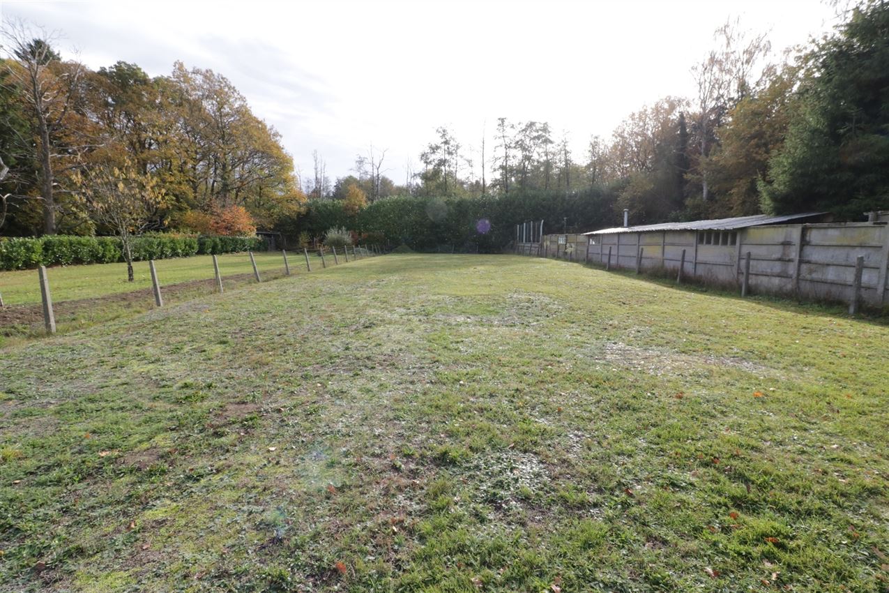 Magnifiek perceel van 19a43ca met zuidgerichte tuin aan de Demervallei foto 7