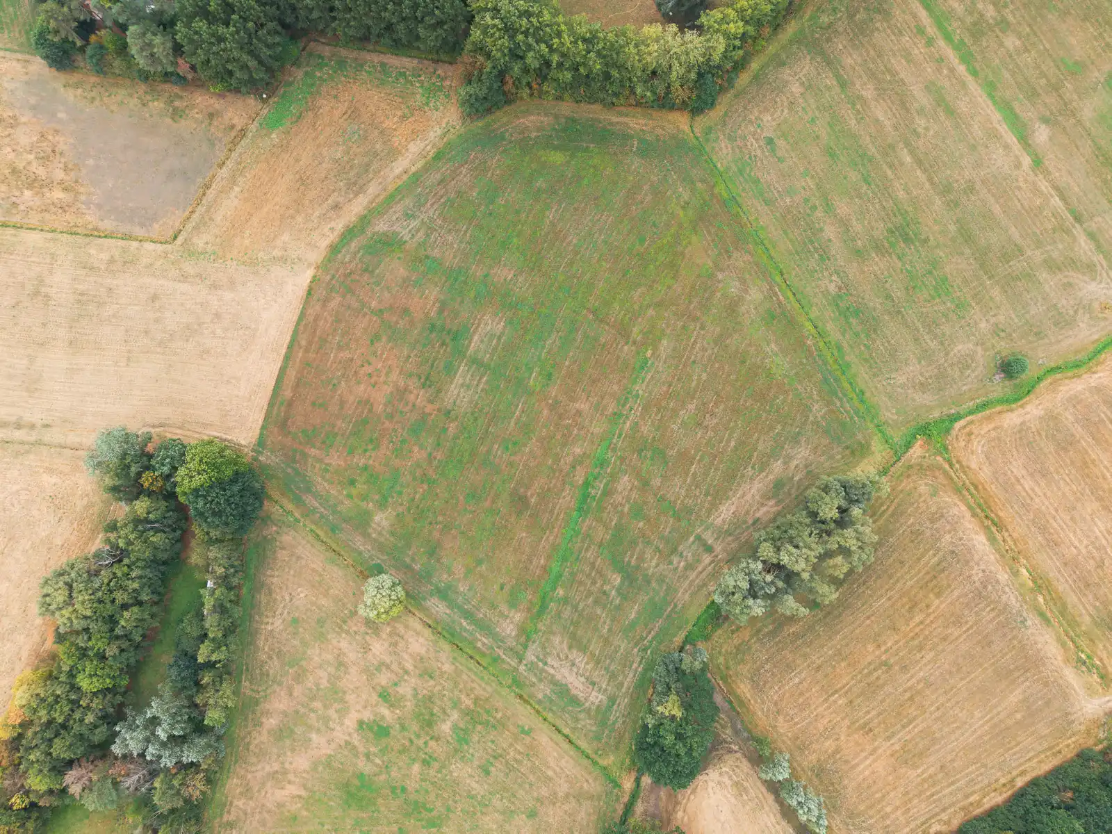 Uitzonderlijk perceel hooiland in agrarisch gebied foto 2