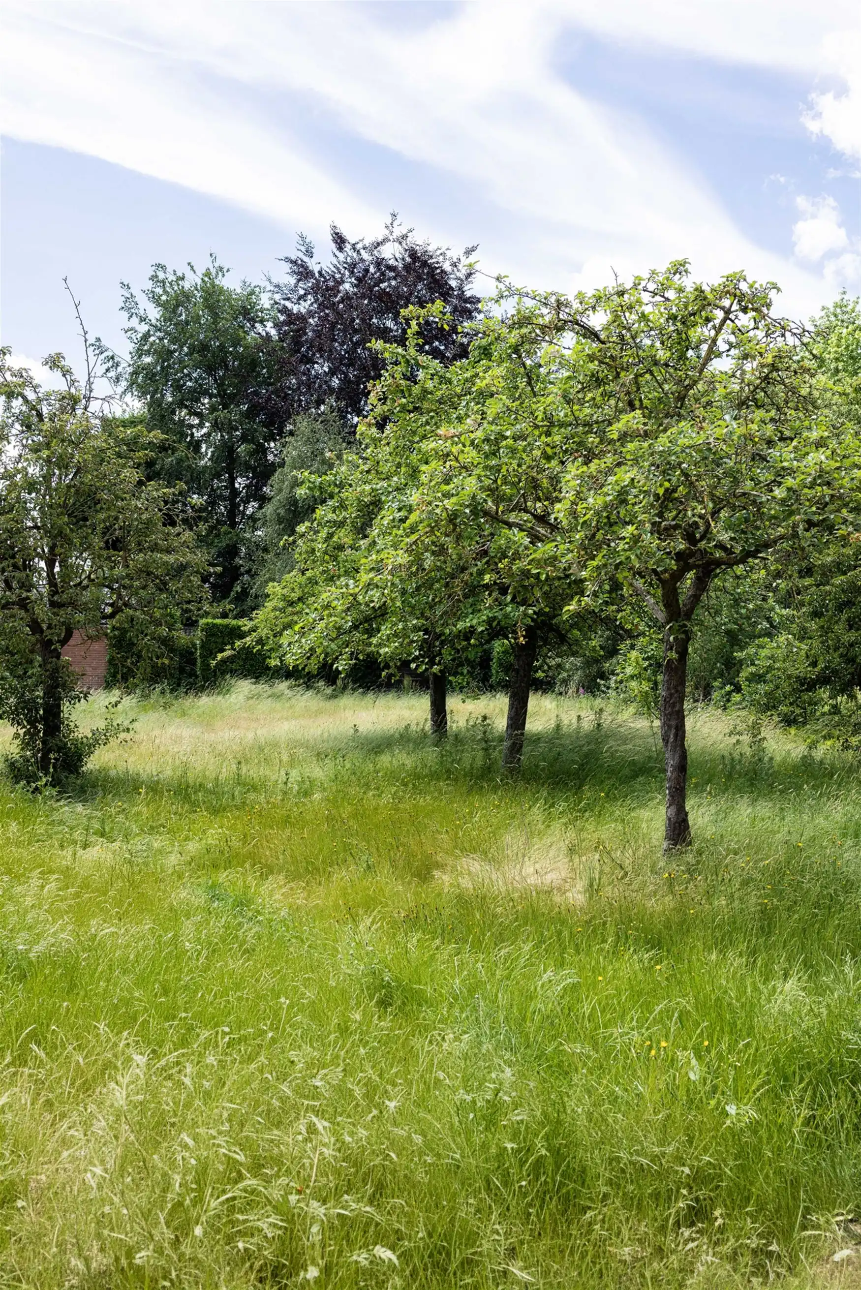 Groots buiten. Groen voor je neus. Helemaal van jou. foto 7