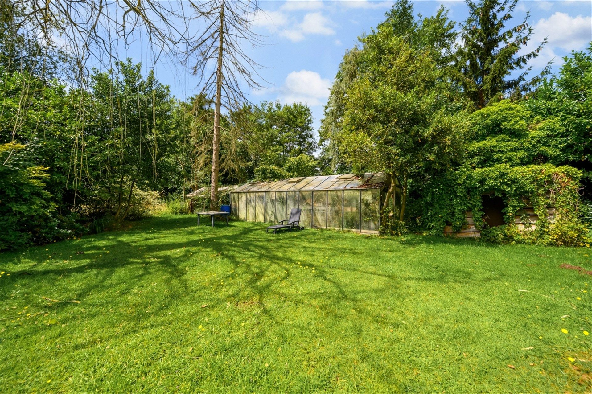 Te renoveren woning met veel potentieel op perceel van 1443m² foto 9