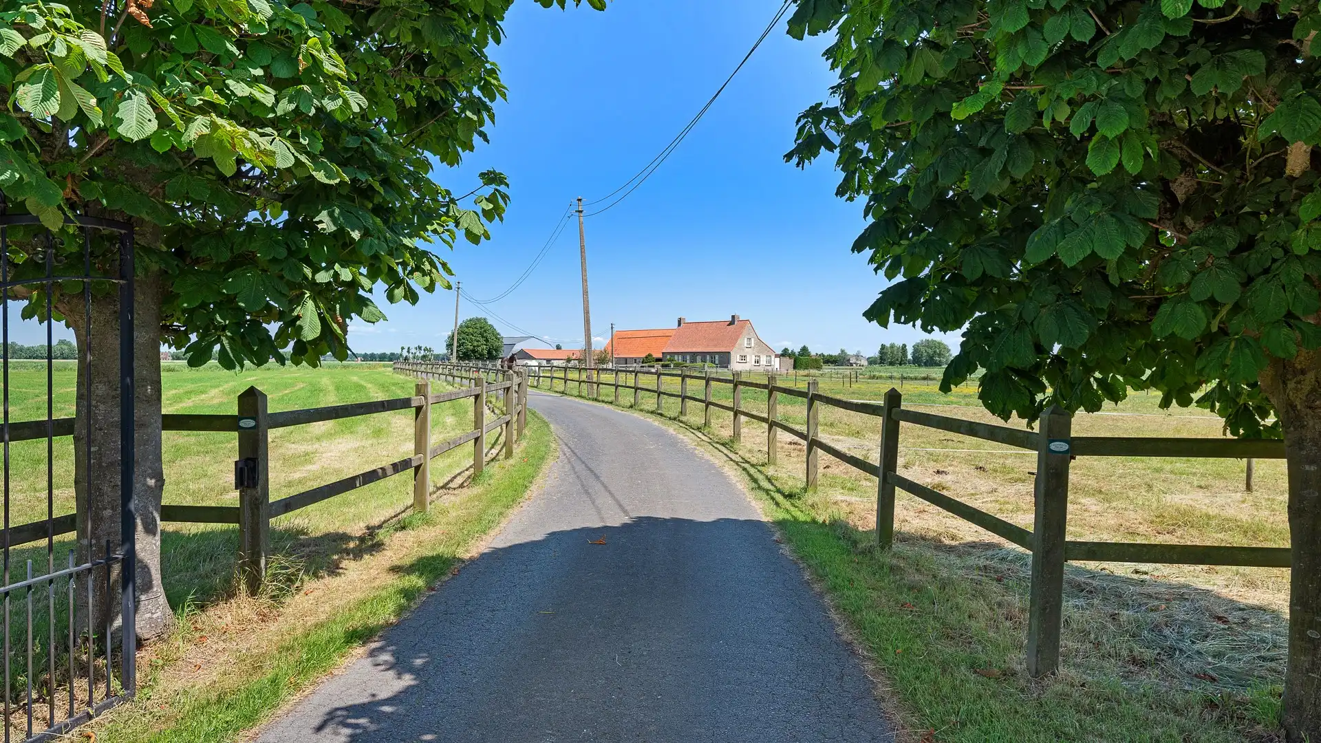 Prachtig gelegen eigendom op bijna 5ha te Ramskapelle foto 4