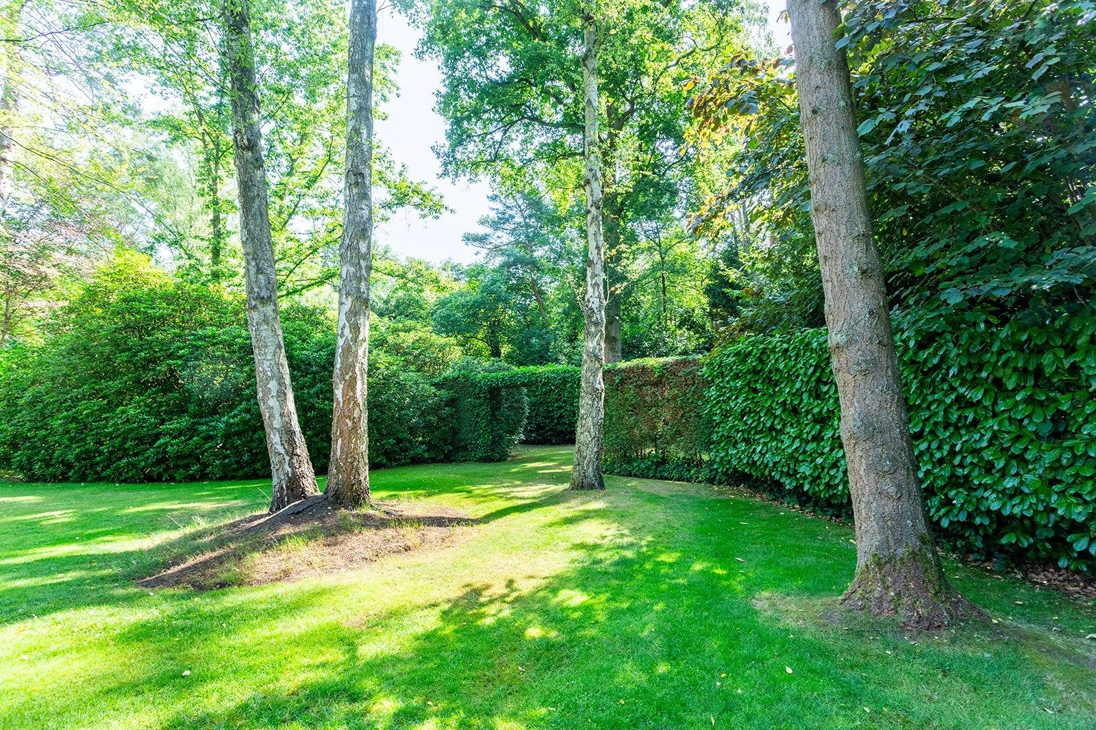 Charmante rietgedekte villa in bosrijke omgeving foto 25