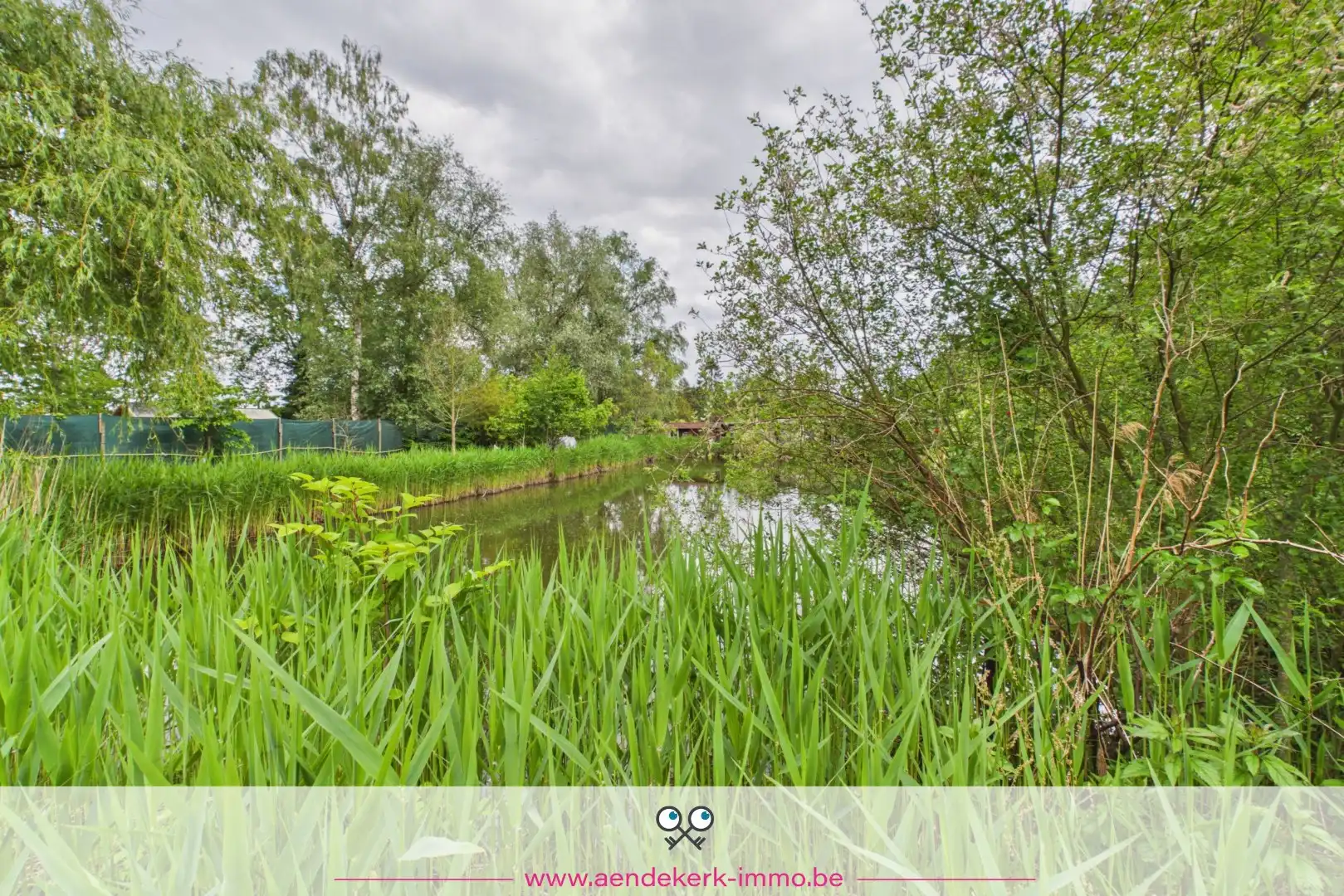 Bijzondere recreatie-eigendom met vijver en bemeubelde chalet te Maaseik foto 23