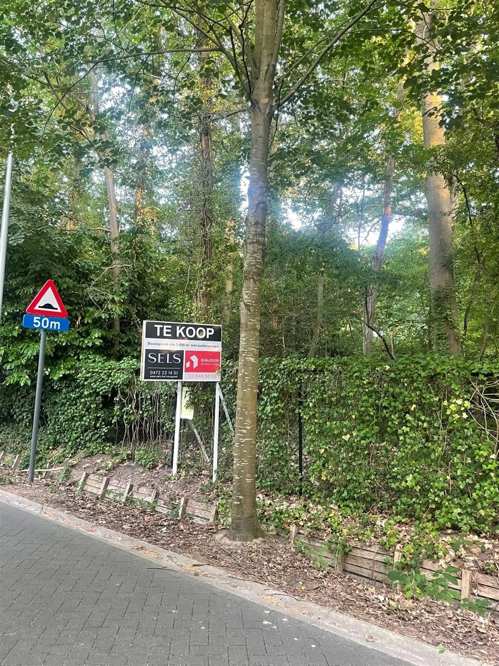Open bouwgrond van ca. 3.755 m² foto 6