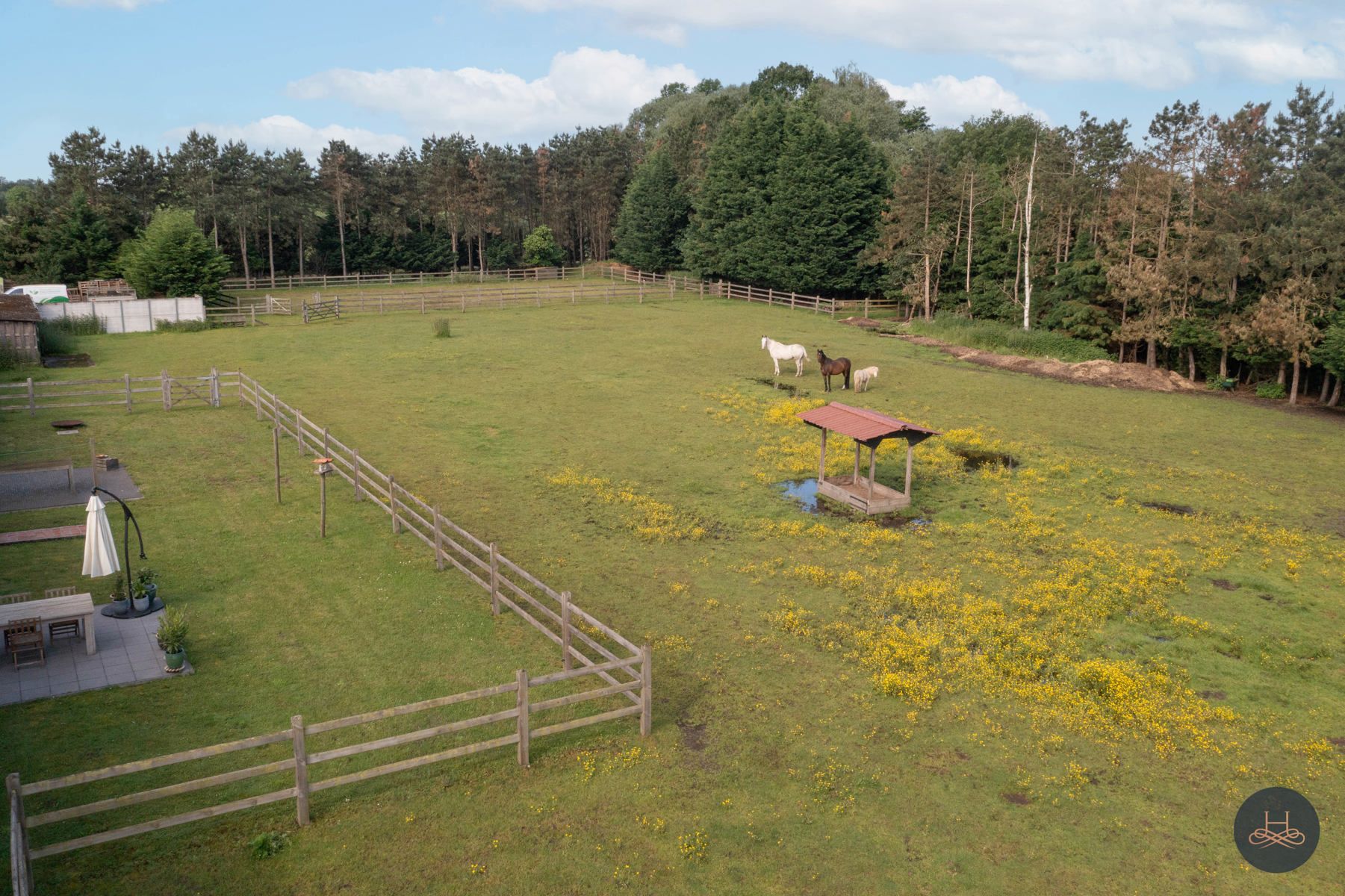 Unieke hoeve met vijver en paardenweide op 2,5ha  foto 4