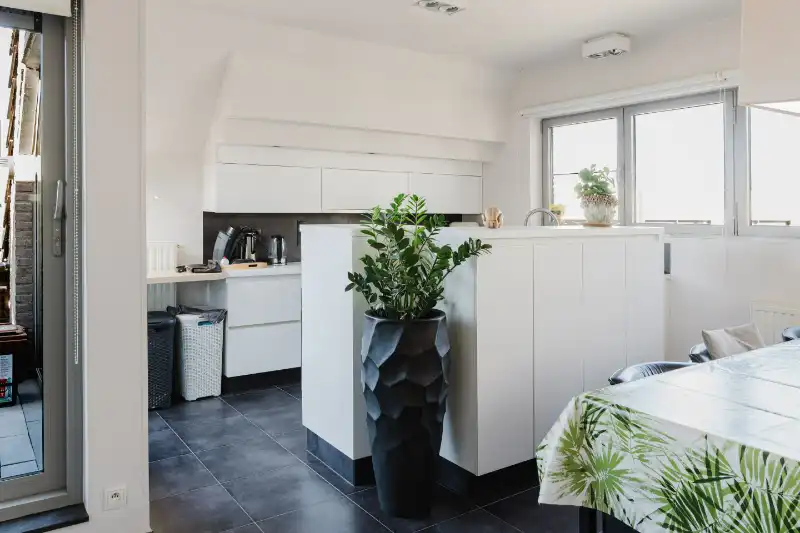 Ruime penthouse foto 10