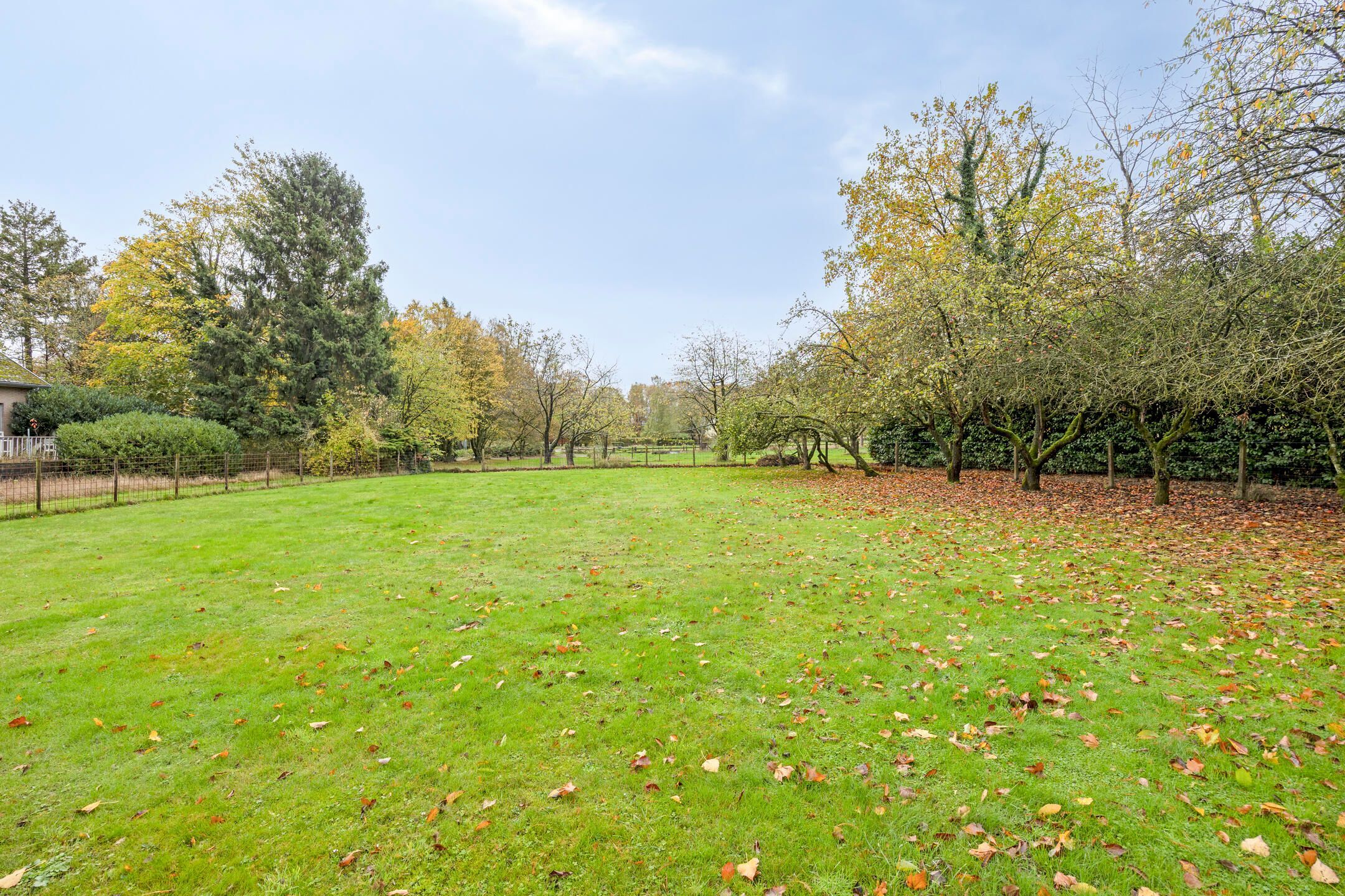 Opportune woning te Lubbeek: omringd door natuur foto 29