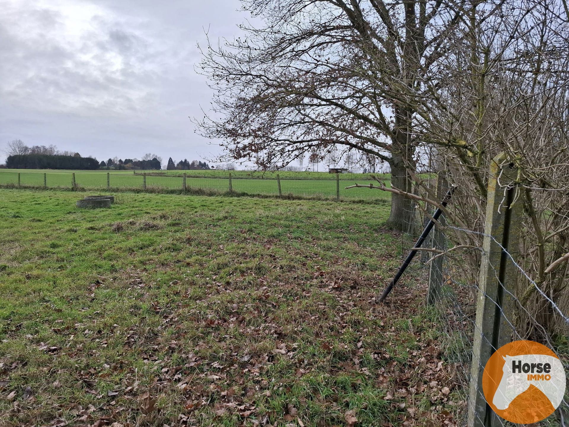 DENDERHOUTEM– Perceel weiland van 29a 50ca foto 5