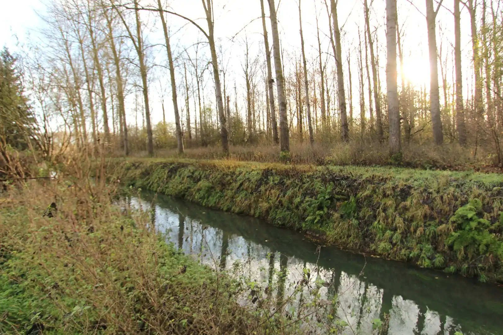 Woning in aangename woonbuurt centrum Tongeren - Grondig te renoveren foto 4