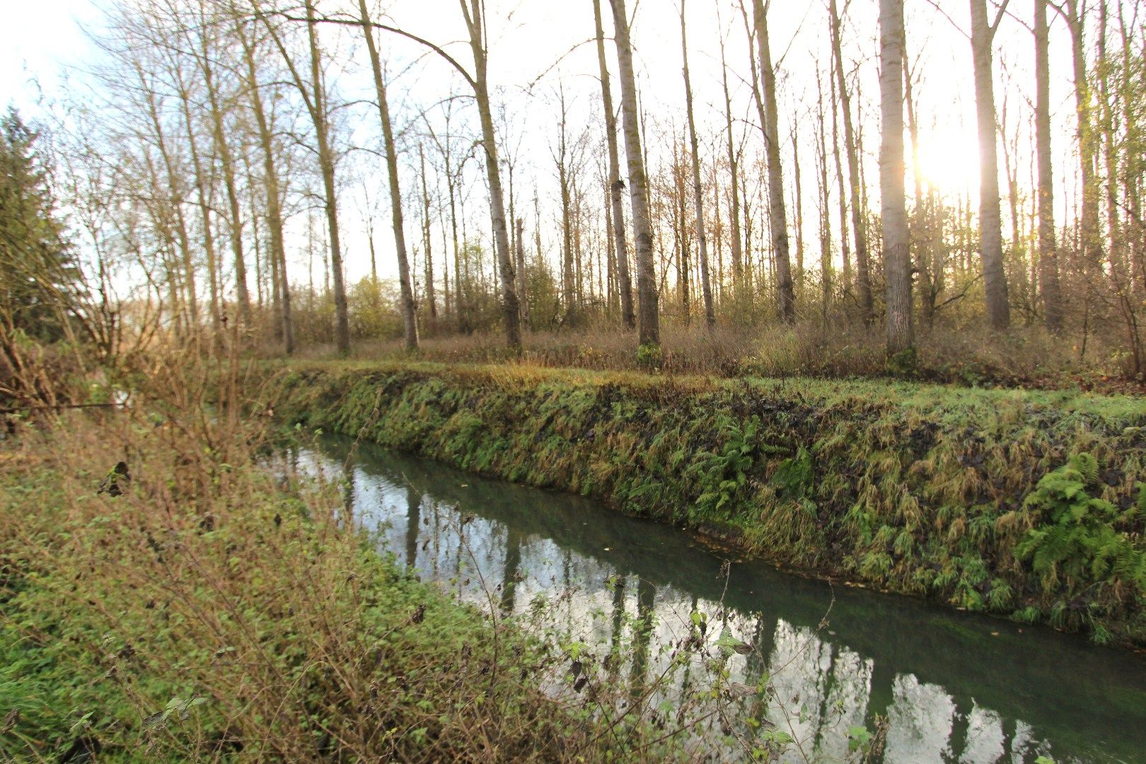 Woning in aangename woonbuurt centrum Tongeren - Grondig te renoveren foto 4