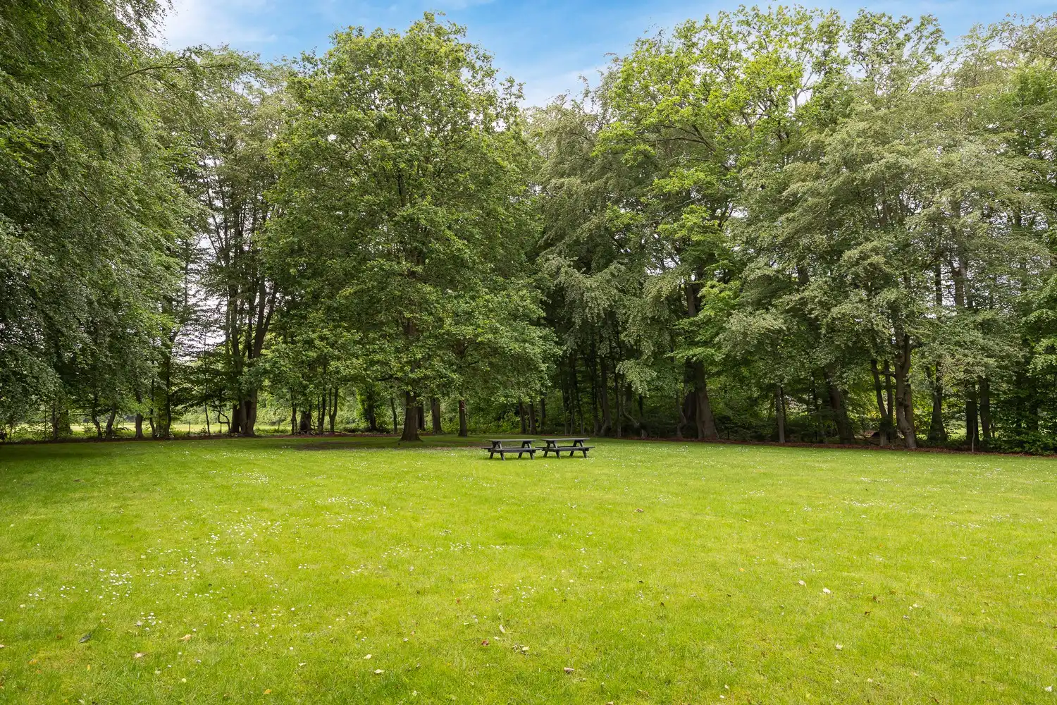 Karaktervolle pastorijwoning in een uniek, privatief woondomein met weelderige parktuin foto 27