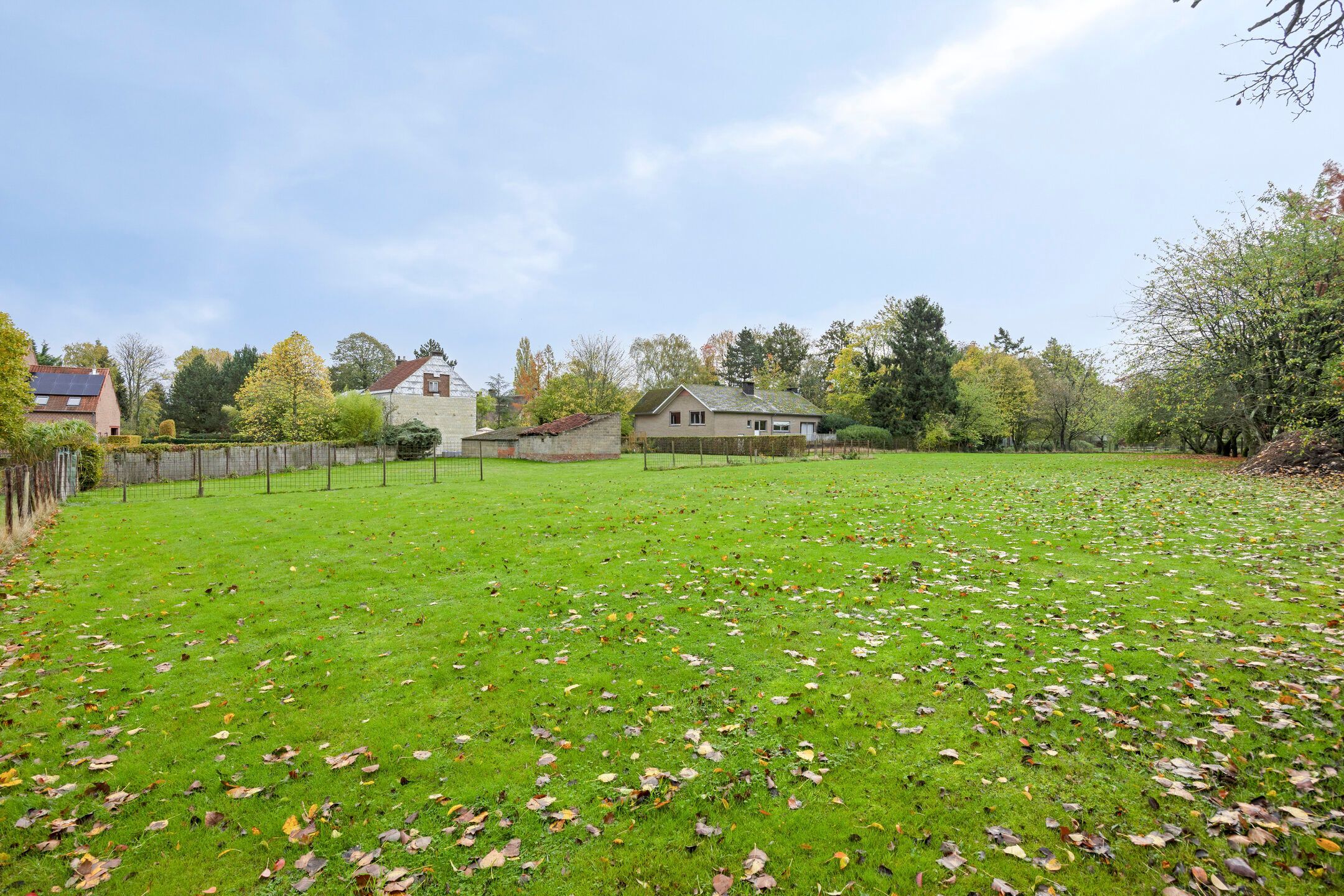 Opportune woning te Lubbeek: omringd door natuur foto 28